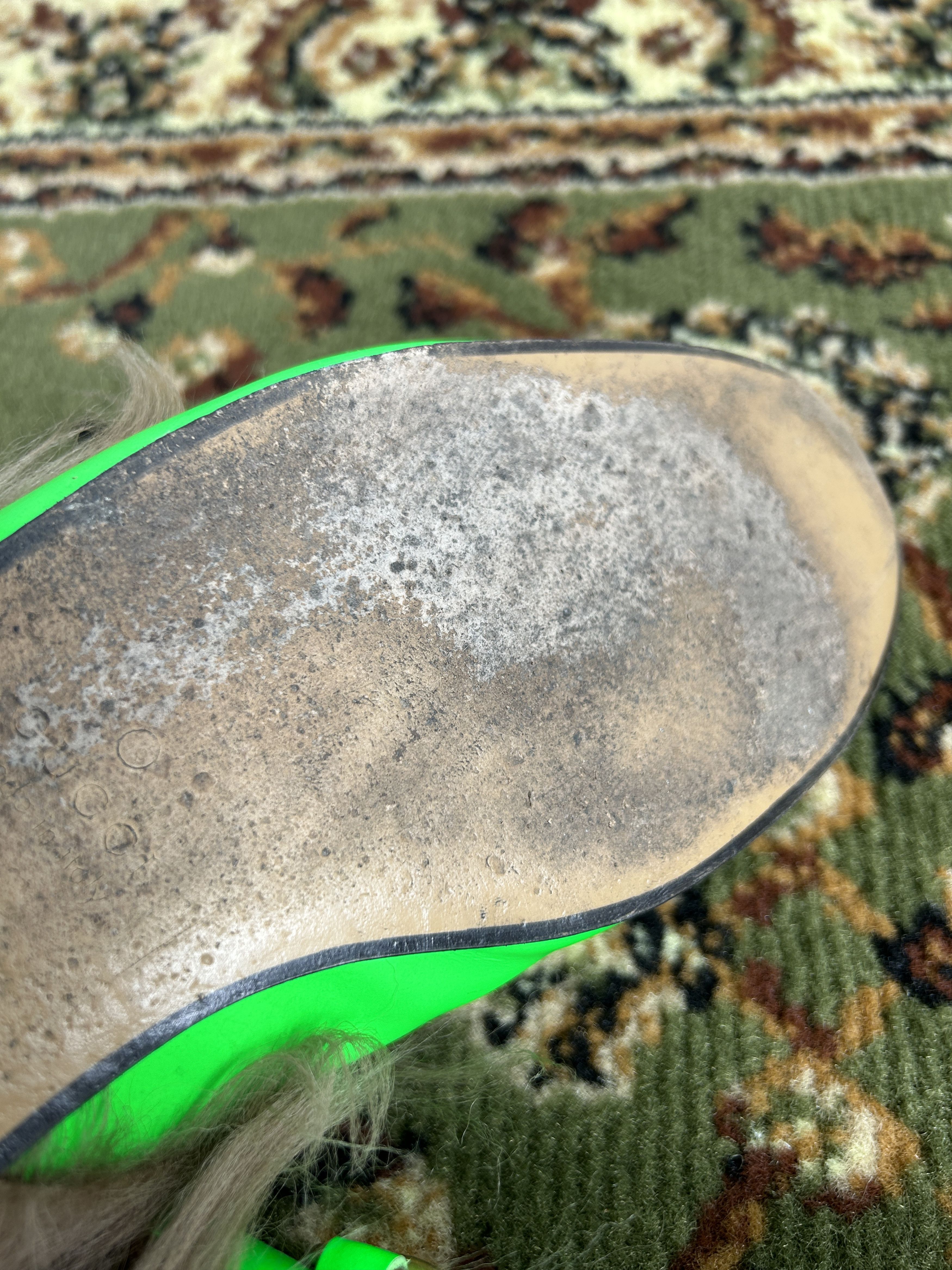 Gucci Gucci princetown horsebit kangaroo fur slip ons neon green Size US 10 / EU 43 - 10 Thumbnail
