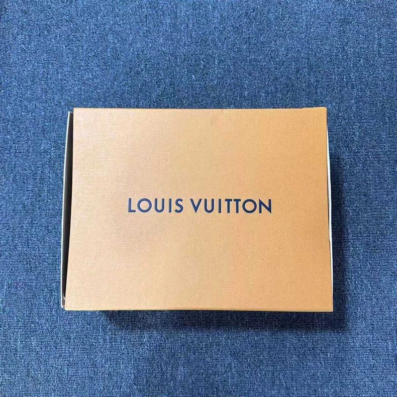 Louis Vuitton Louis Vuitton Skateboarding Shoes Size US 8 / EU 41 - 8 Thumbnail