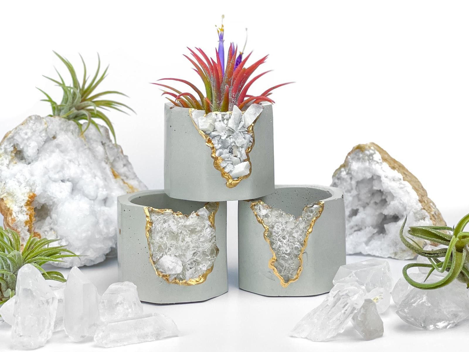Other Raw Clear Quartz Crystal Planter Air Plant Holder Display Size ONE SIZE - 8 Thumbnail