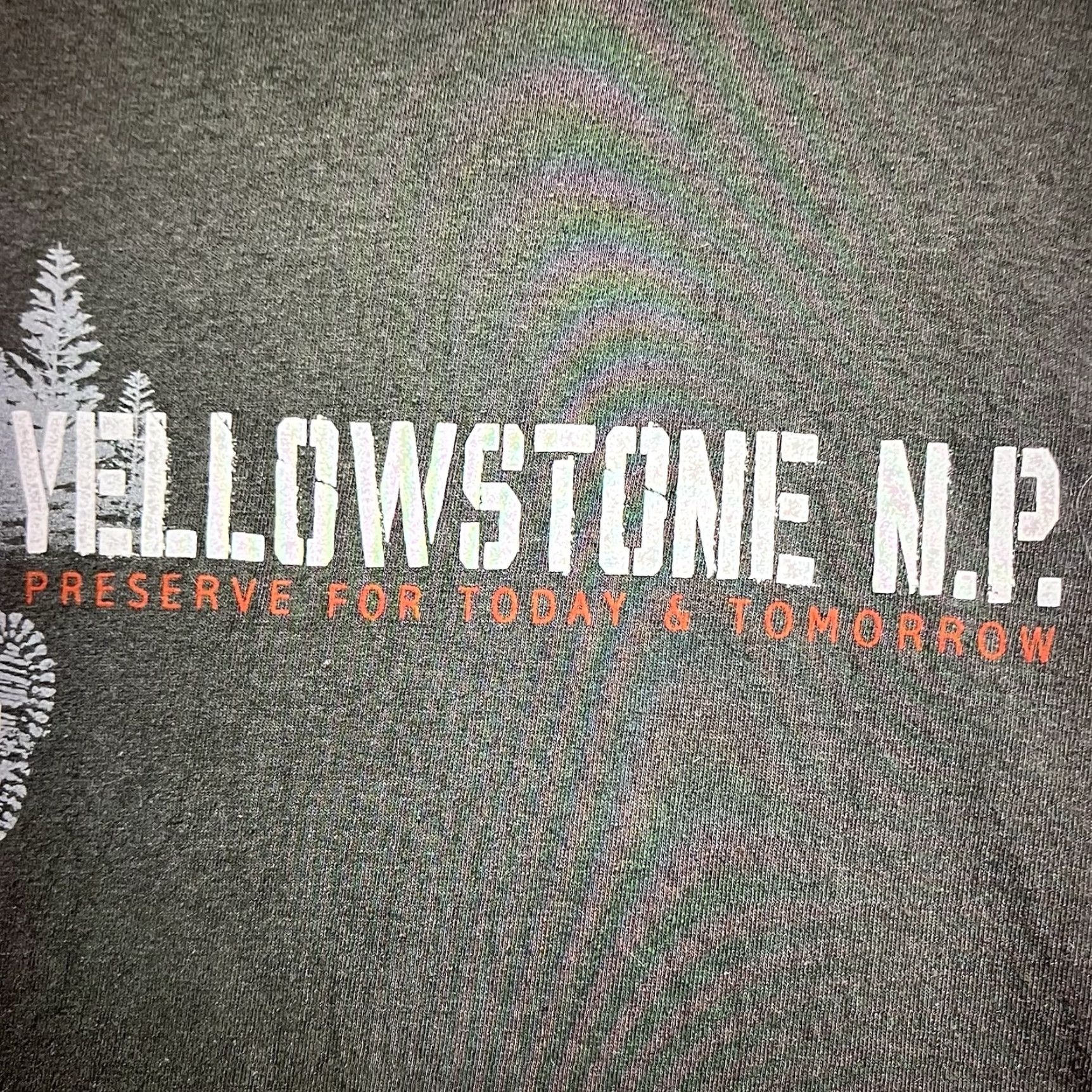 Vintage VINTAGE Prairie Mountain Nature T-Shirt Large Green Yellowstone 90s Hiking Outdoors Mens Size US L / EU 52-54 / 3 - 6 Thumbnail