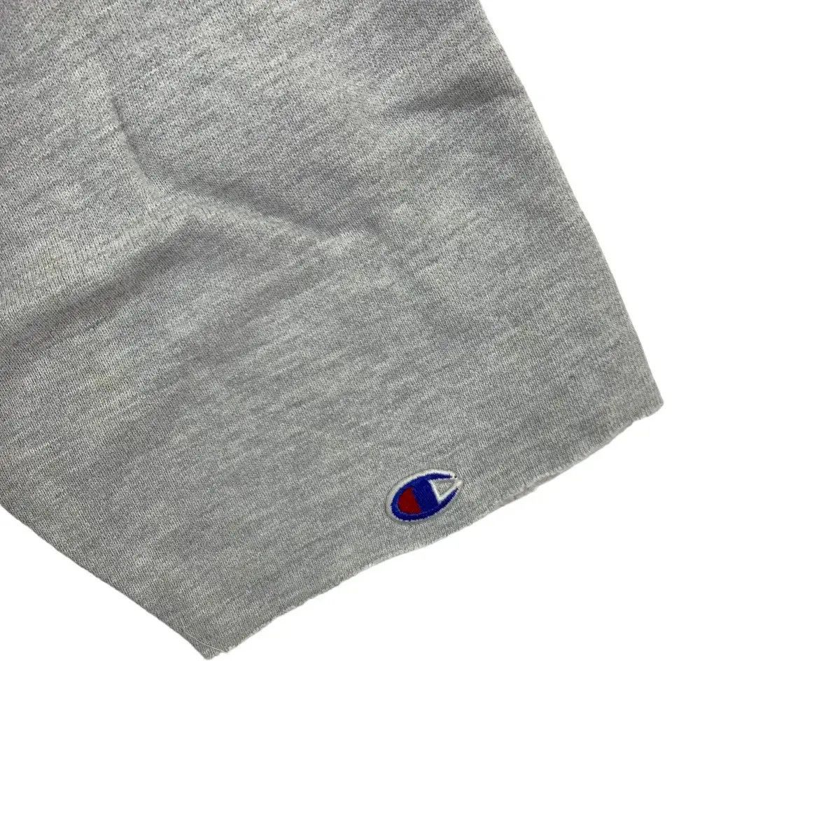 Champion Vintage 90’ CHAMPION REVERSE WEAVE Oswego State Size L / US 10 / IT 46 - 3 Thumbnail