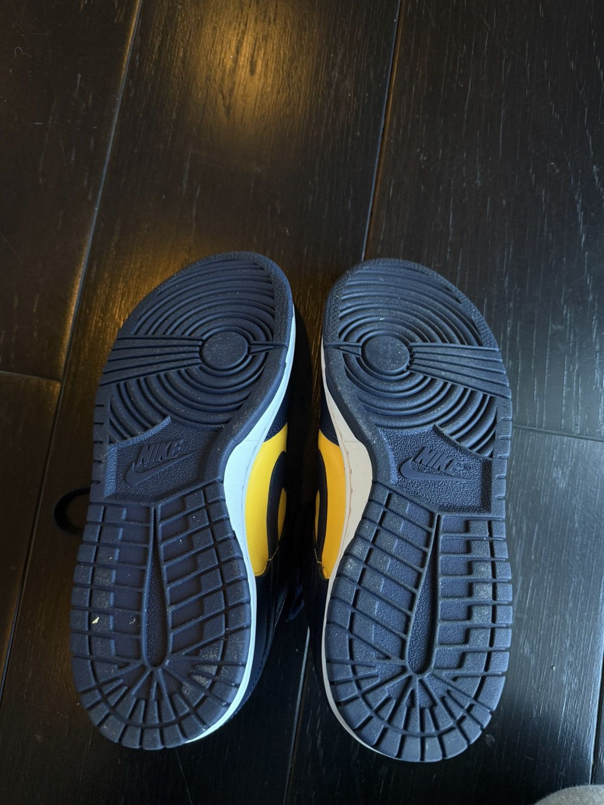 Nike Nike Michigan Dunks Size US 6 / EU 39 - 9 Thumbnail