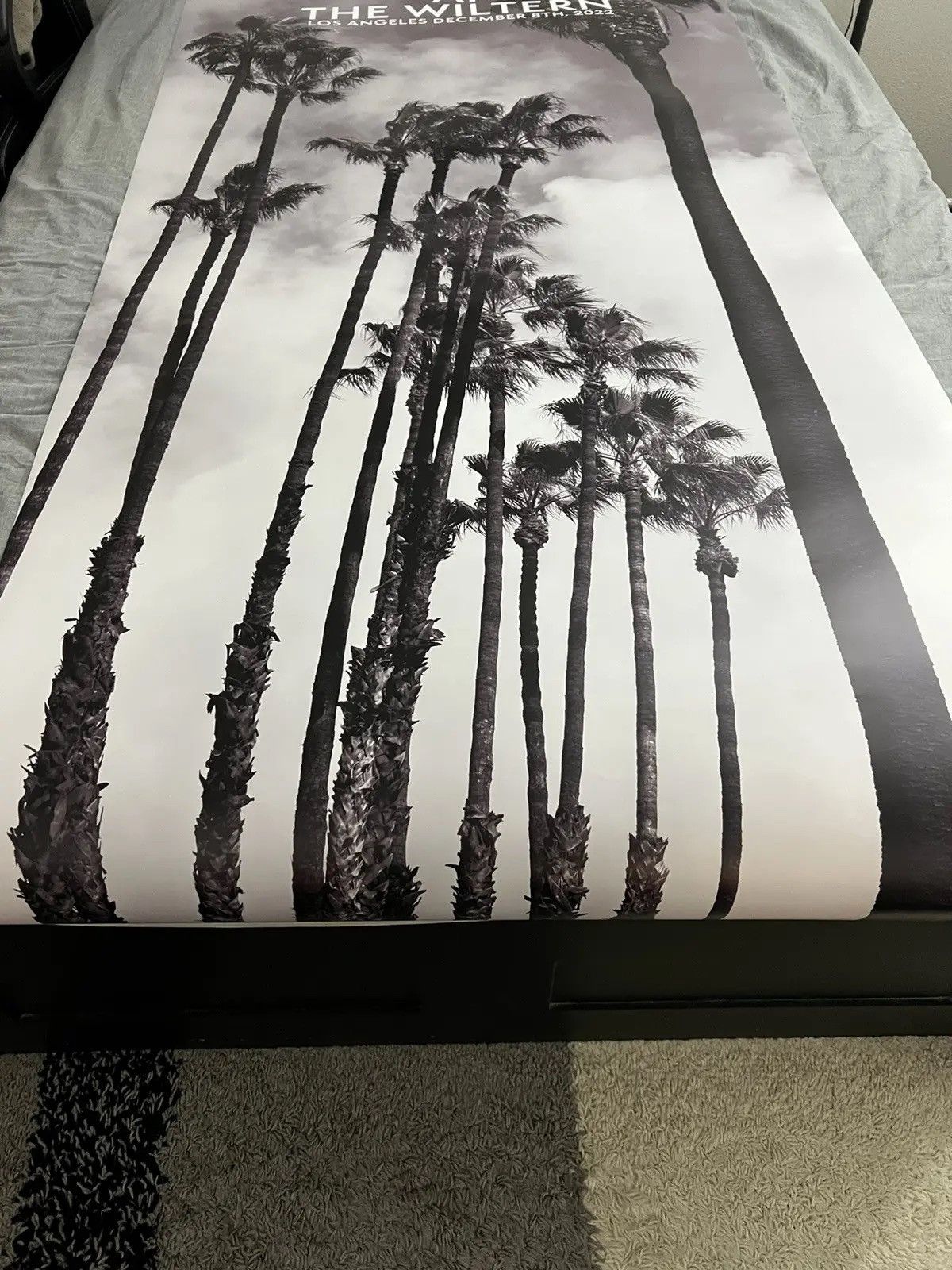 Celine CELINE At The Wiltern 81.5 x 39 GIANT PALM POSTER + more Size ONE SIZE - 3 Thumbnail