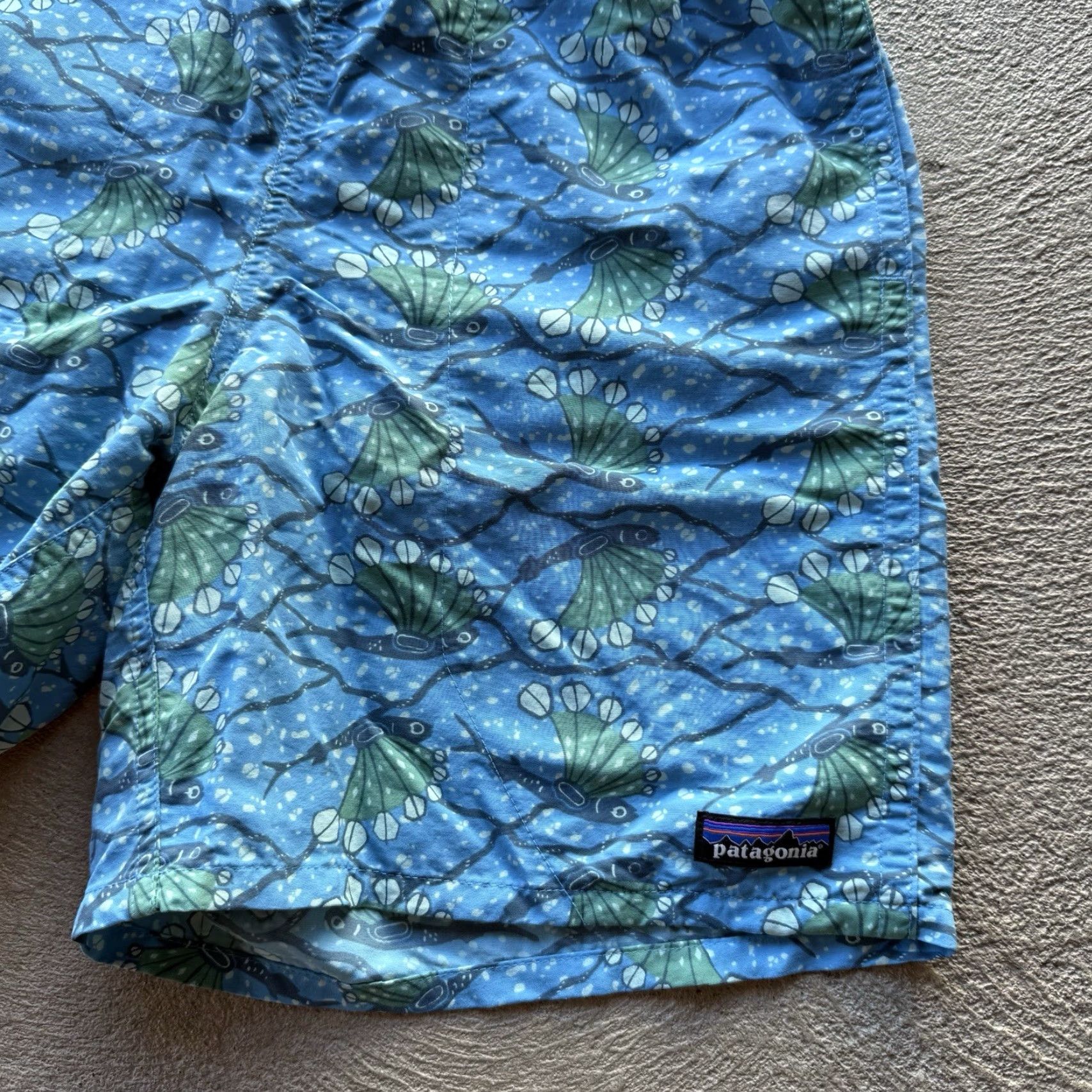 Patagonia Patagonia Mens Small Blue Baggies Shorts Ocean Swim Trunks Outdoor Lined Size US 29 - 2 Thumbnail