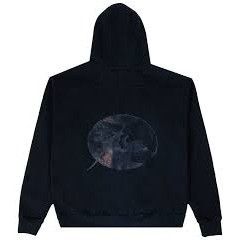 Rhude NEW RHUDE BLACK SWAN HOODIE SZ LARGE Size US L / EU 52-54 / 3 - 1 Thumbnail