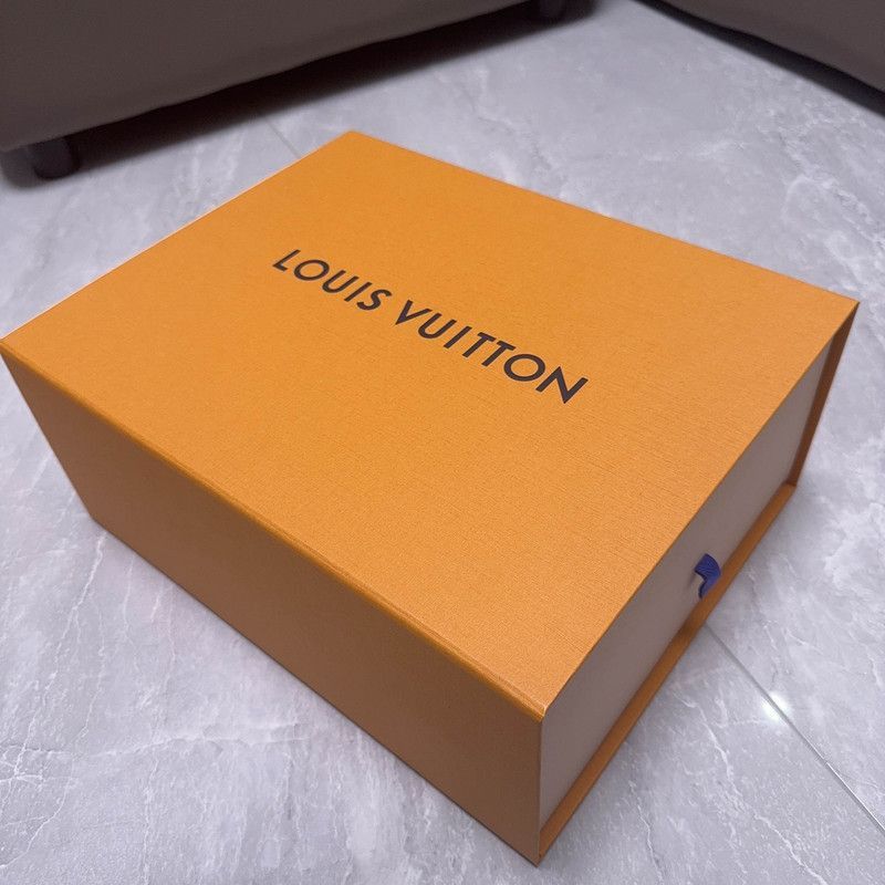 Louis Vuitton Louis Vuitton Trainer 2-2508 Size US 8.5 / EU 41-42 - 6 Thumbnail