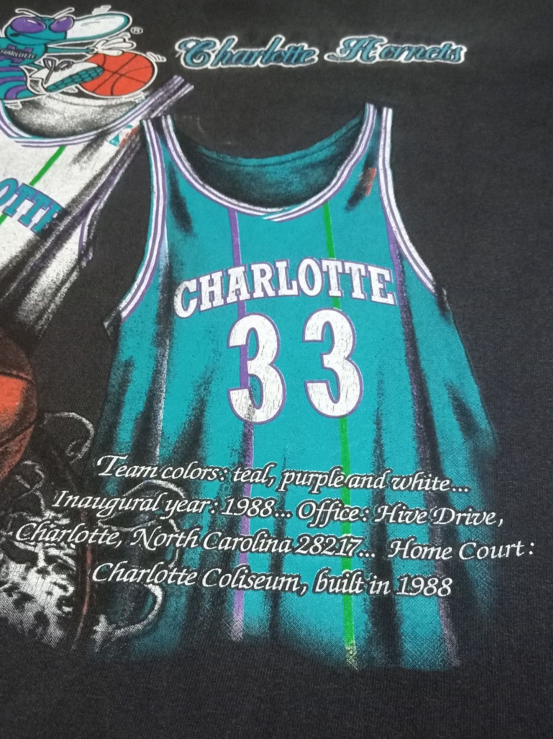 NBA Vintage 90s NBA Charlotte Hornets T-shirt Size US L / EU 52-54 / 3 - 6 Thumbnail