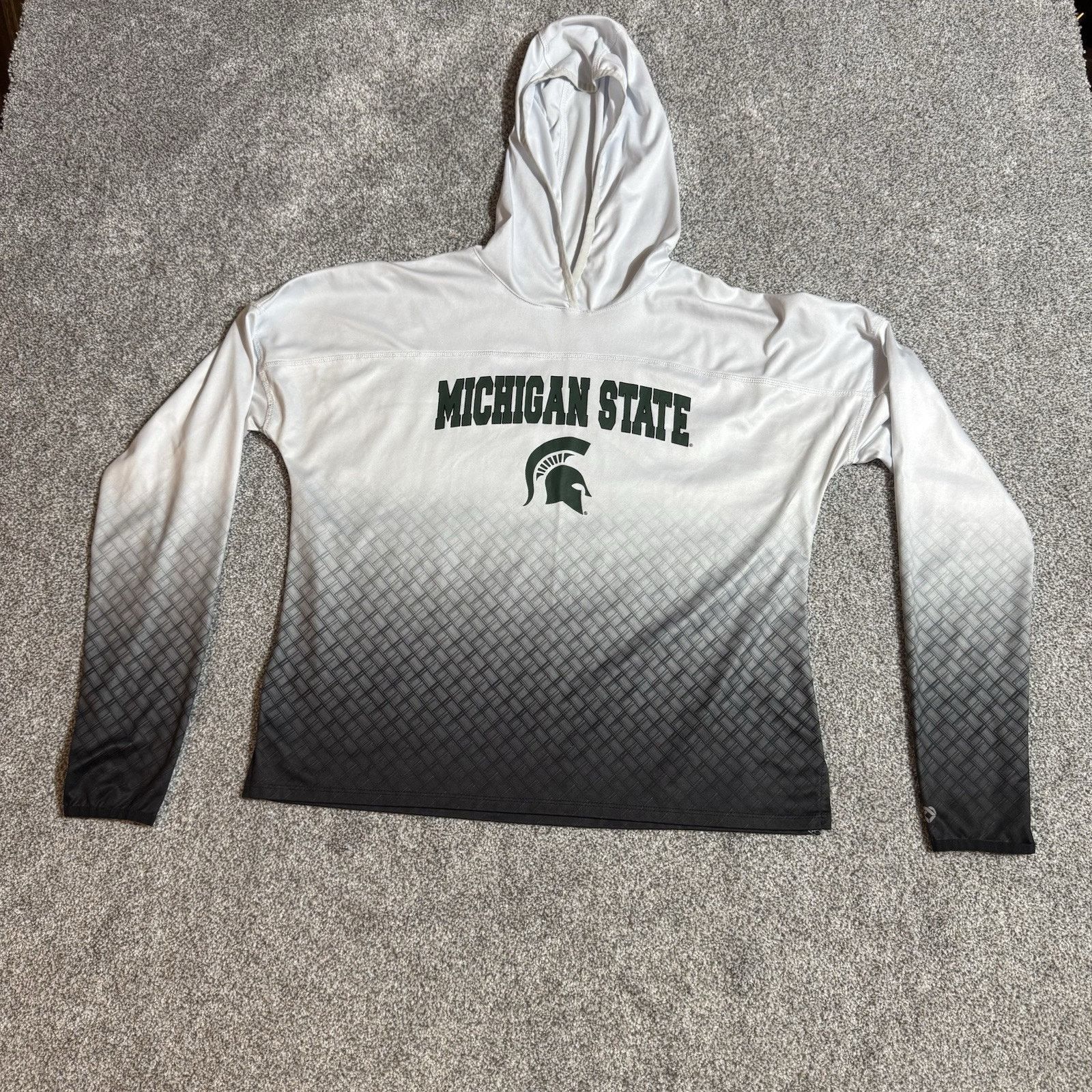 Colosseum Athletics Colosseum Michigan State Spartans Hoodie Womens L Gorpcore Size L / US 10 / IT 46 - 1 Thumbnail