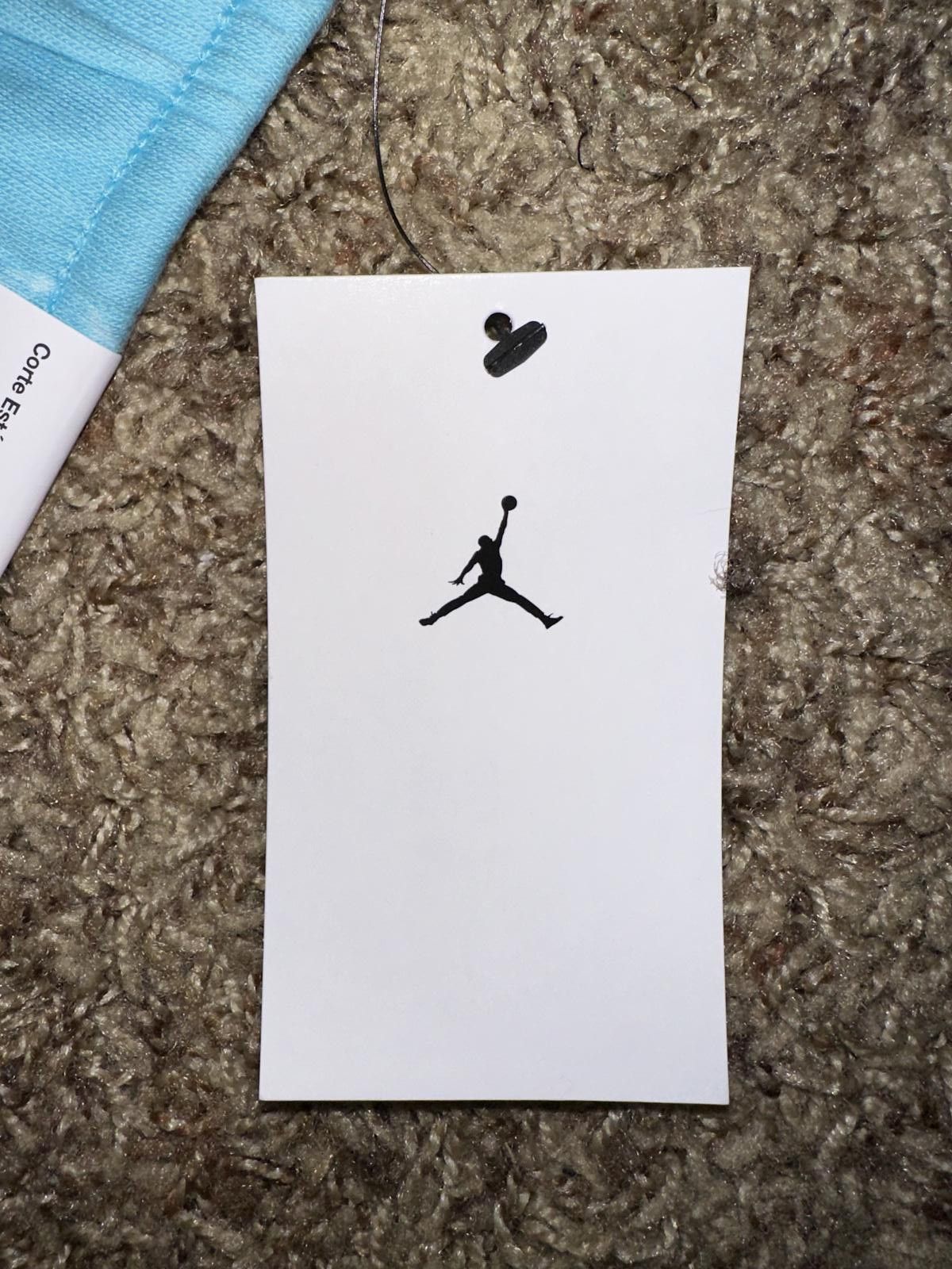 Jordan Brand Jordan "Artist Series by Parker Duncan Fleece Short" W - Bleached Aqua Size 42" / US 20 - 12 Thumbnail
