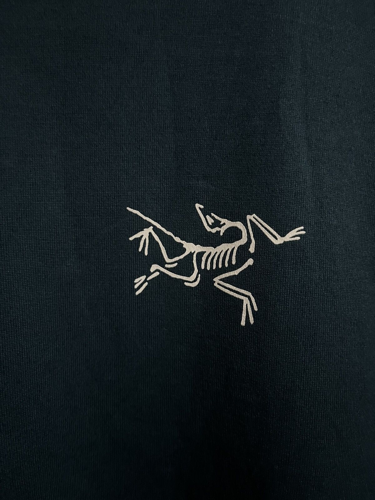 Arc'teryx Arcteryx Kragg Longsleeves Shirt Size US L / EU 52-54 / 3 - 2 Thumbnail