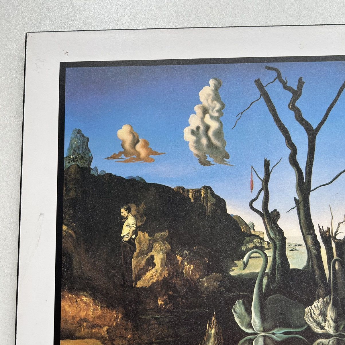 Vintage Vintage 1997 90s Salvador Dali Cygnes Reflechis En Elephants Size ONE SIZE - 5 Thumbnail