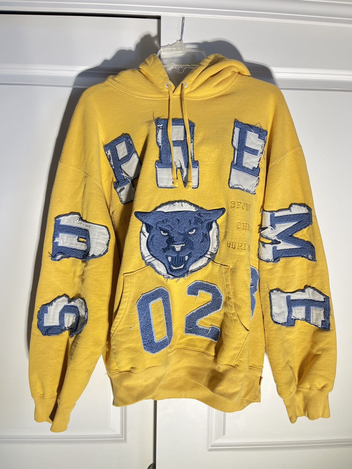 Supreme Supreme Washed Panther Hoodie FW 23 Size US L / EU 52-54 / 3 - 1 Thumbnail