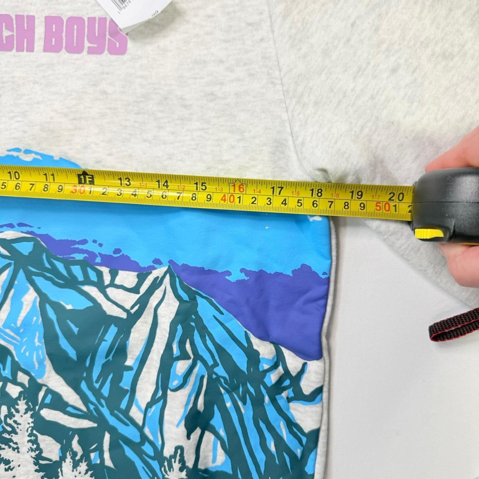 & Other Stories NWT The Beach Boys graphic crewneck sweatshirt Size US M / EU 48-50 / 2 - 3 Thumbnail