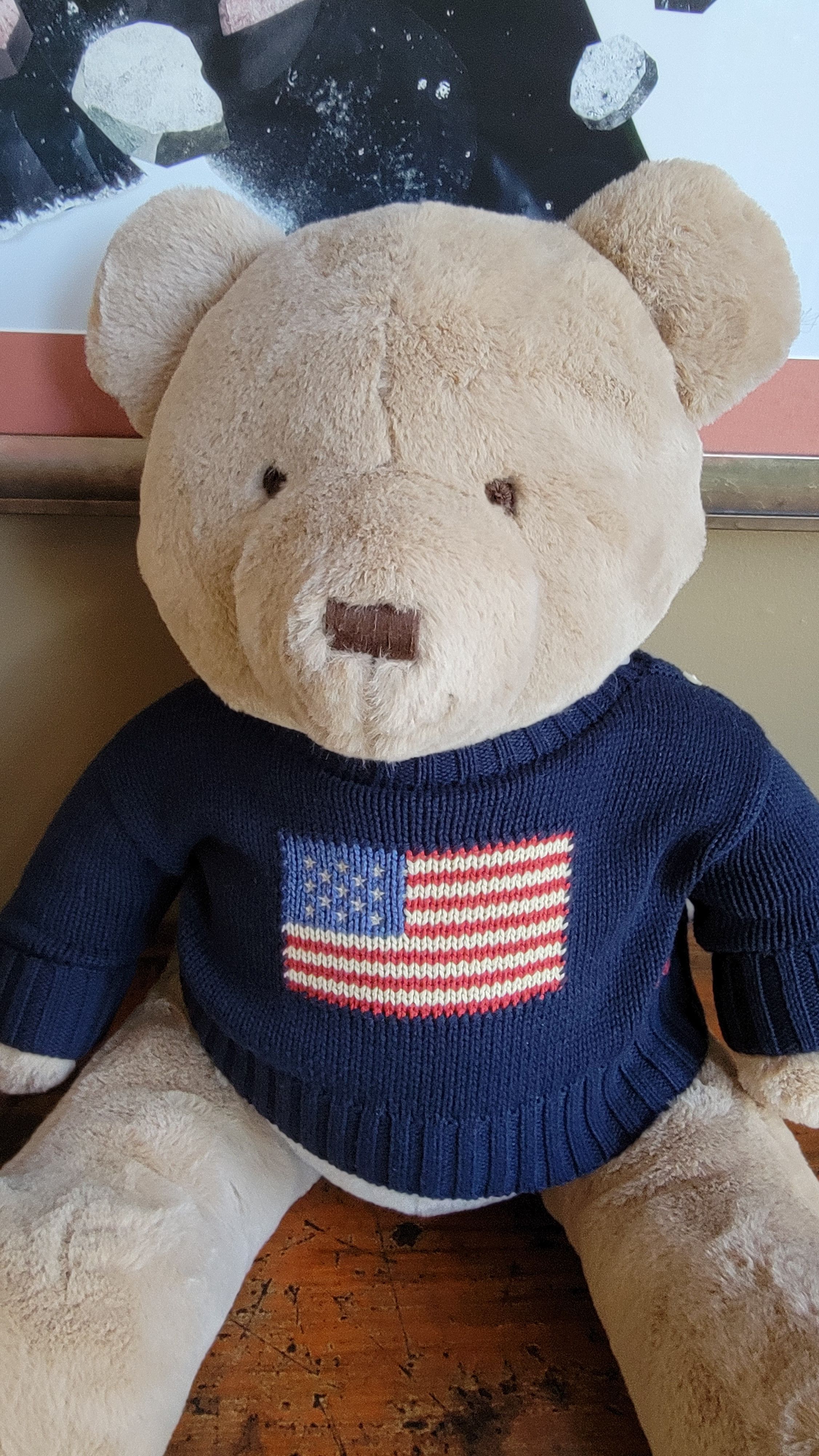 Polo Ralph Lauren Big Polo Flag Bear | Grailed
