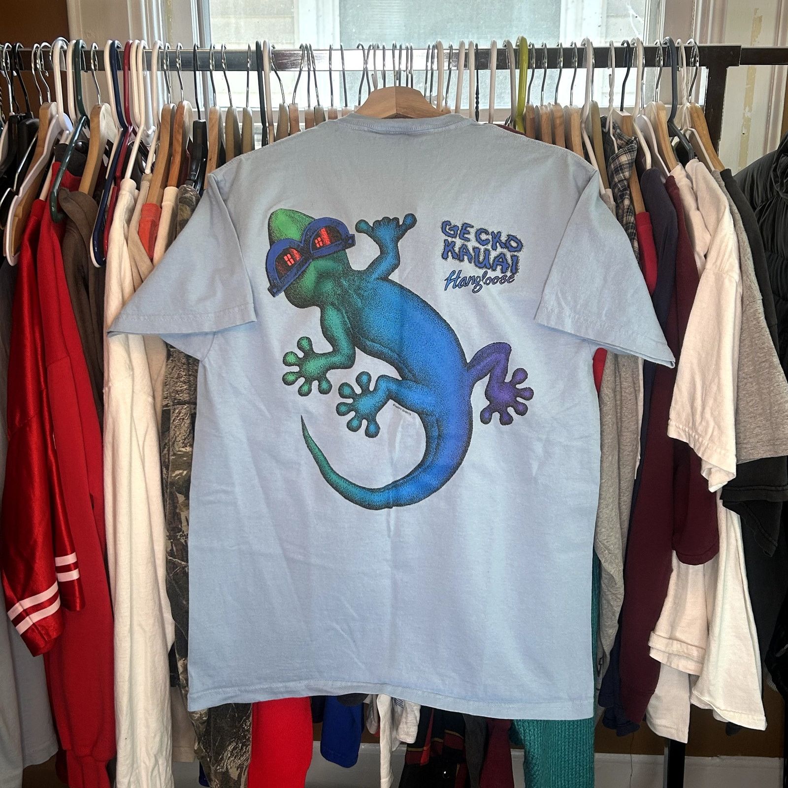 Hanes Y2K Gecko Kauai Lizard T-Shirt Medium Size US M / EU 48-50 / 2 - 1 Thumbnail