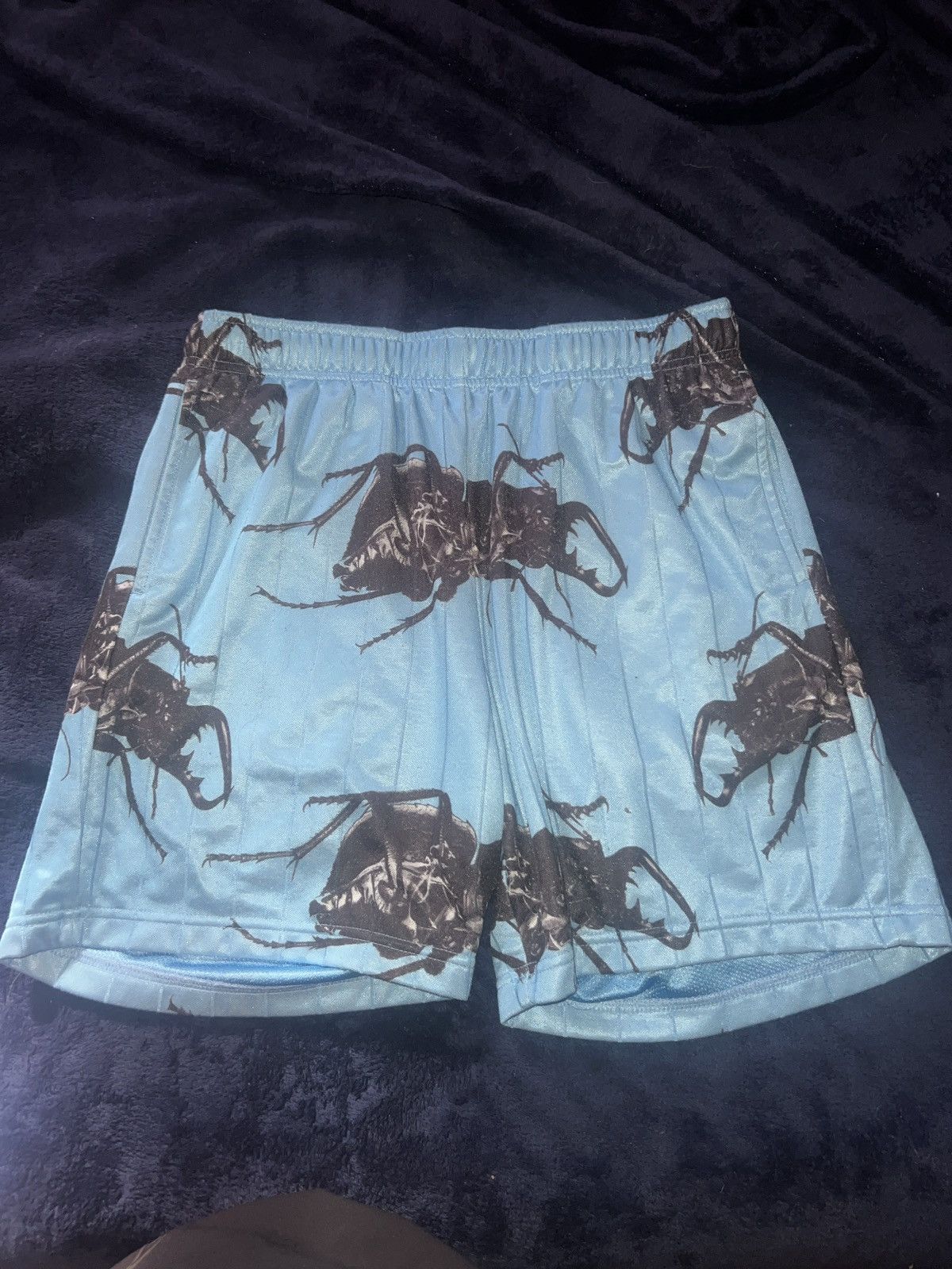 Supreme Beetle Shorts