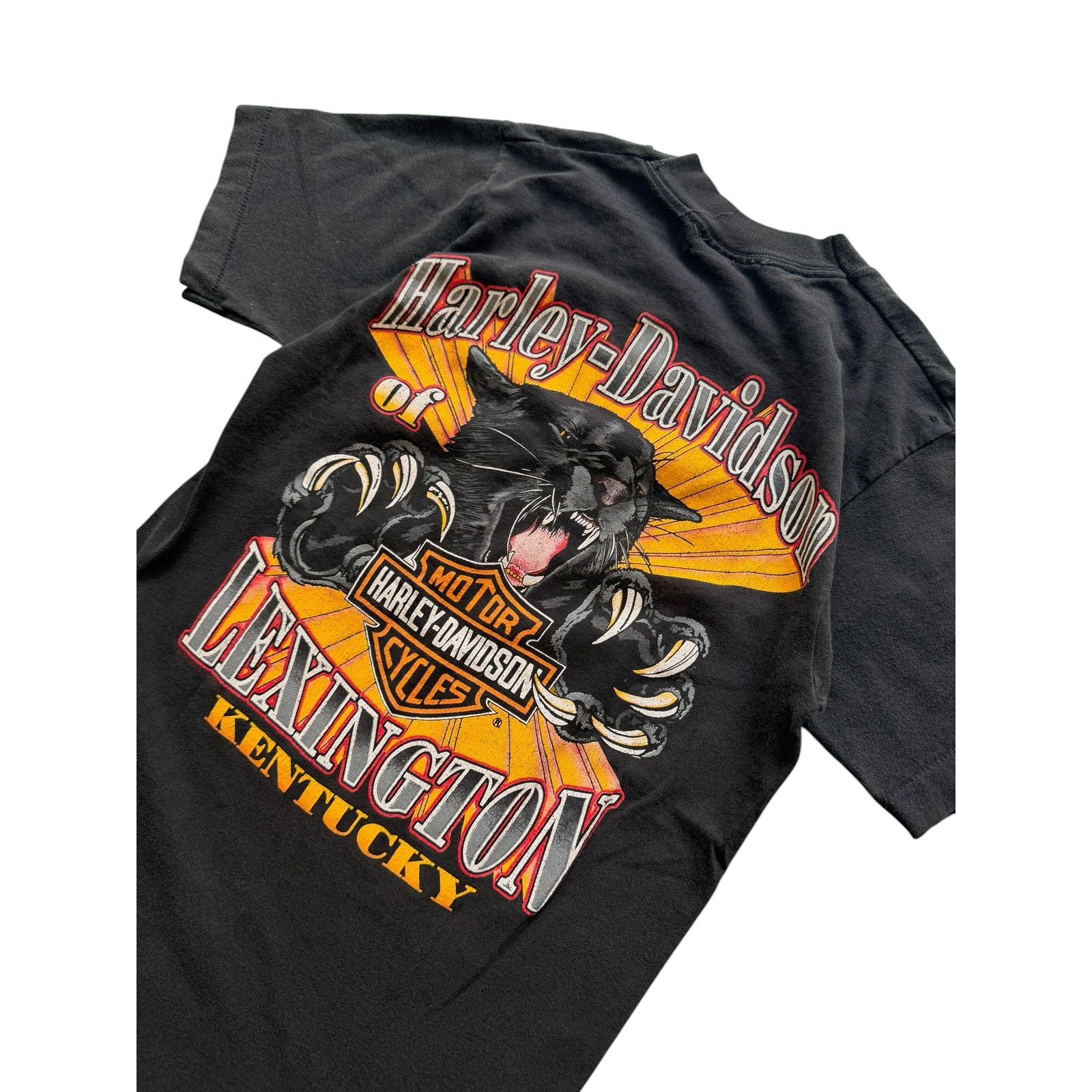 Vintage Vintage HD Zion Eagle Desert Sunset Pocket Tee Size US S / EU 44-46 / 1 - 6 Thumbnail