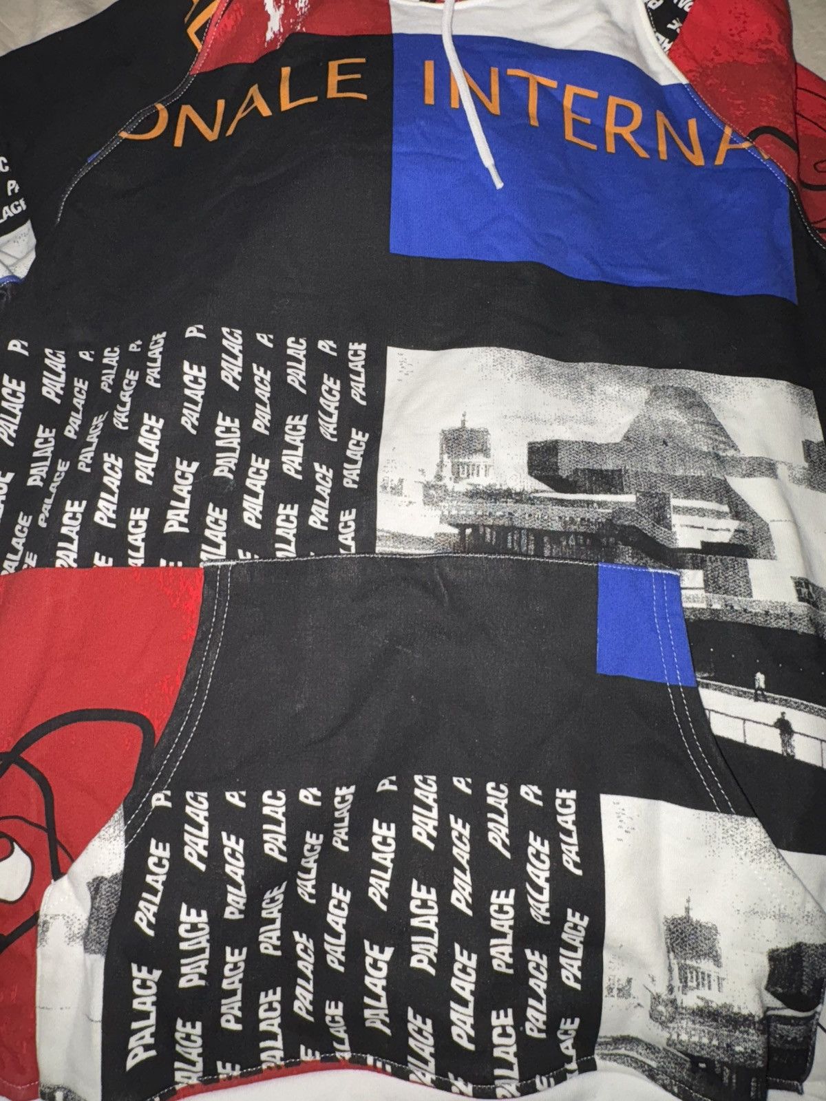Palace Palace SB Hoodie Multi (2015) Size US XL / EU 56 / 4 - 2 Thumbnail