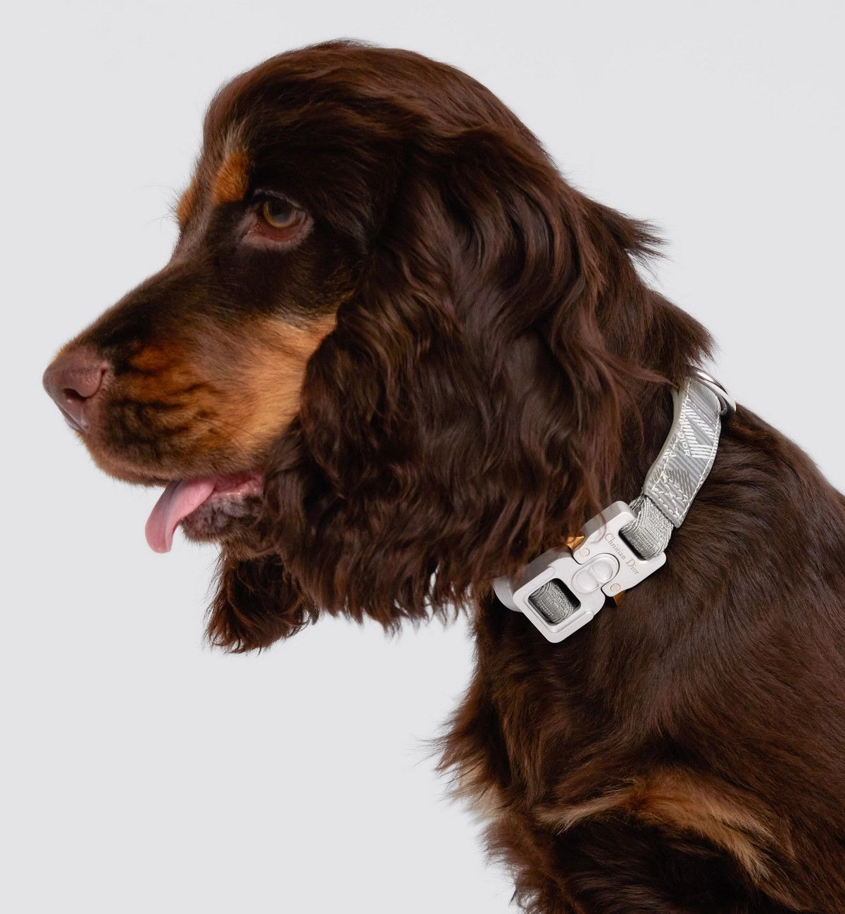 Dior o1bcso1str0126 Size: OS/Pet Coller in Grey Size ONE SIZE - 4 Thumbnail