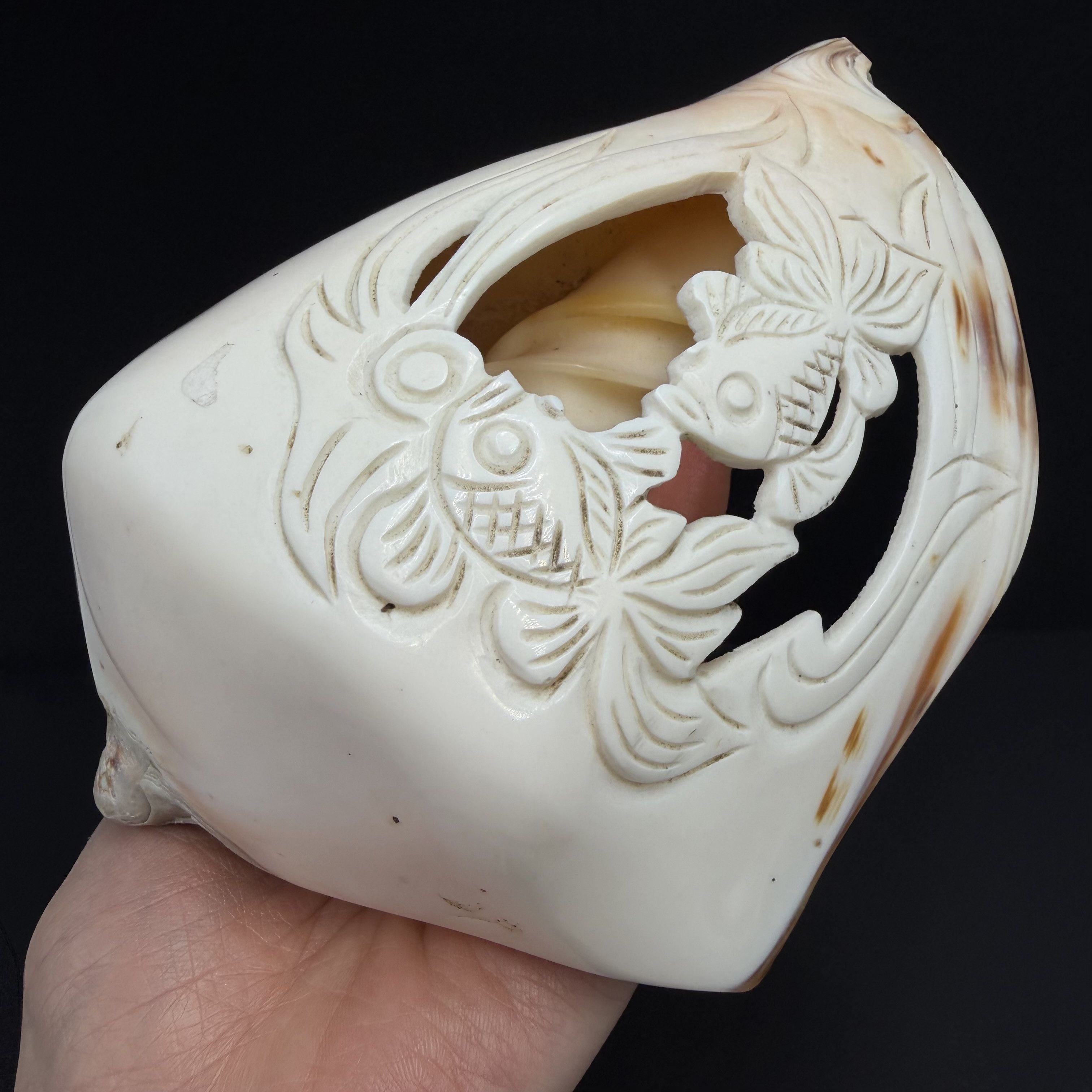 Vintage Vintage Hand Carved Conch Shell Fish Decor Natural Sea Shell Size ONE SIZE - 5 Thumbnail