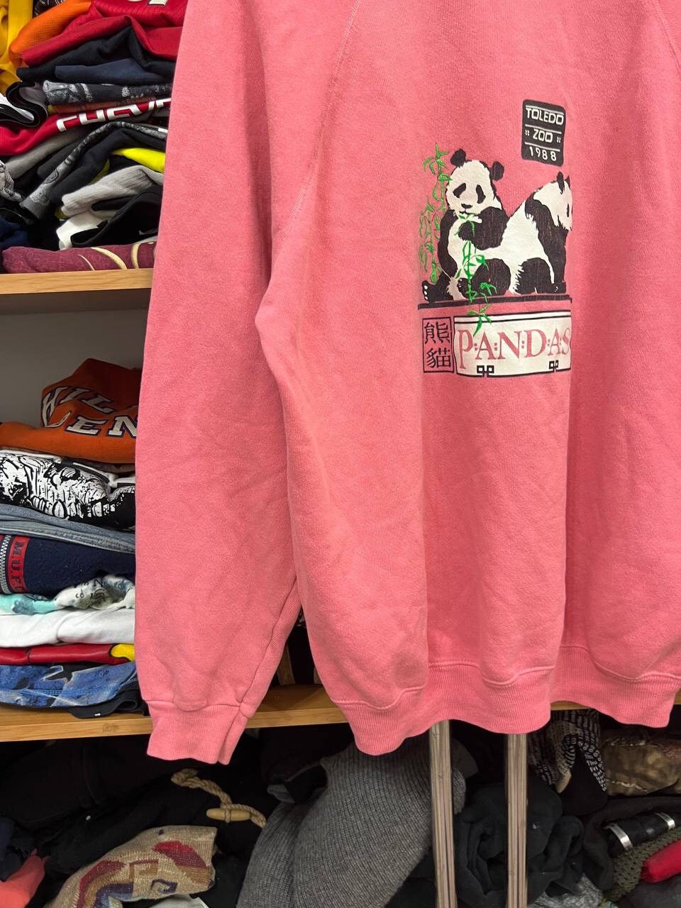 Vintage Crazy Vintage 90s Panda Sweatshirt Hanes Y2K Size US XL / EU 56 / 4 - 5 Thumbnail