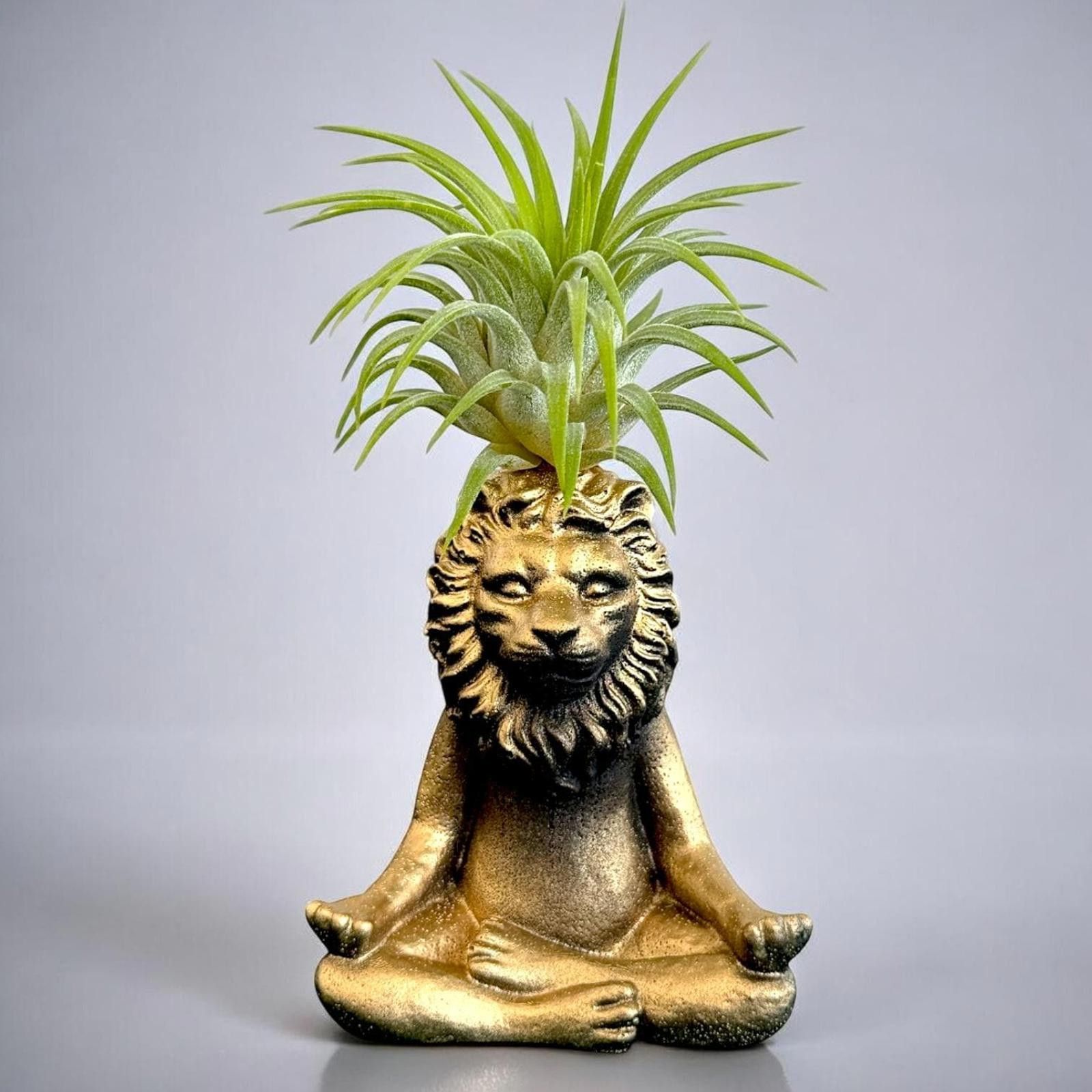 Other Lion Planter – Zen Meditating King of the Jungle, Yoga Gift Size ONE SIZE - 1 Thumbnail