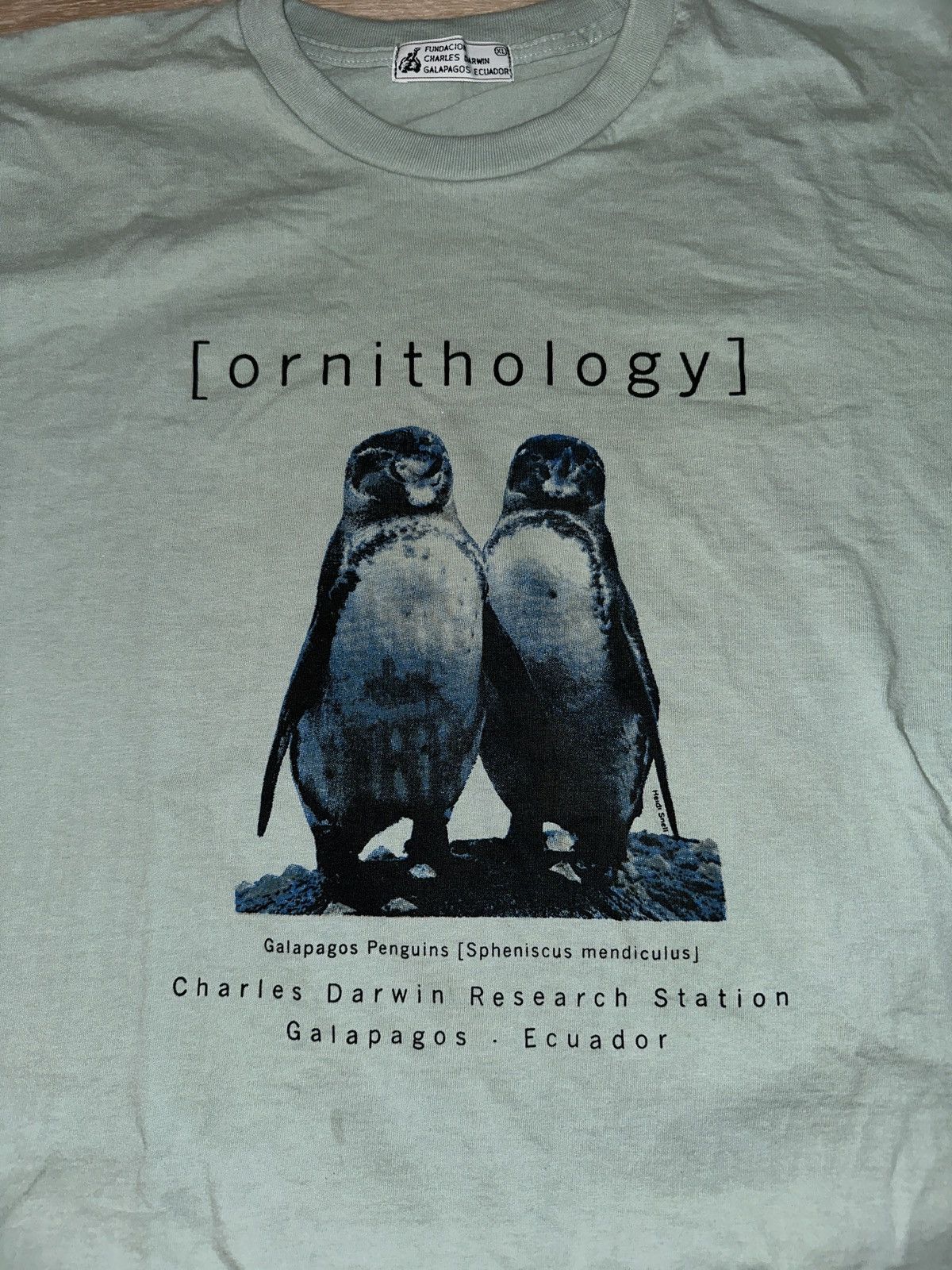 Other Charles Darwin Center Ornithology Galapagos Penguins T-Shirt Size US XL / EU 56 / 4 - 3 Thumbnail