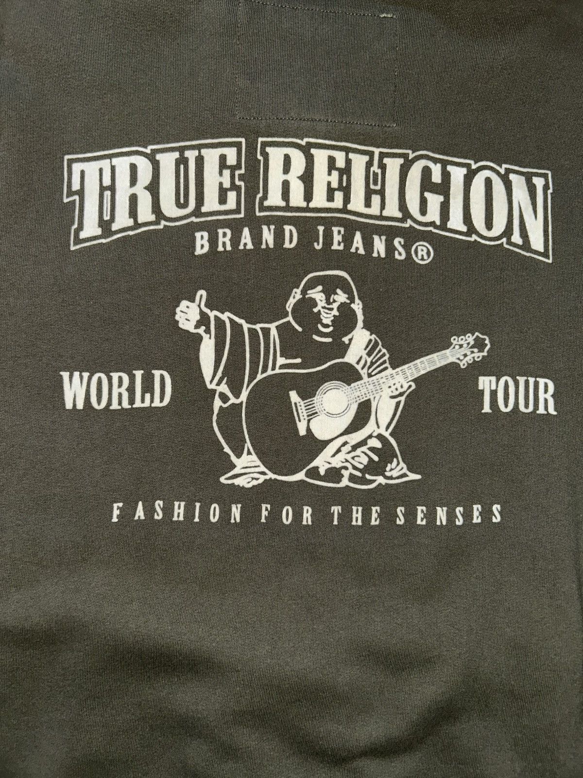 True Religion True Religion Light Olive Hoodie Size US M / EU 48-50 / 2 - 3 Thumbnail