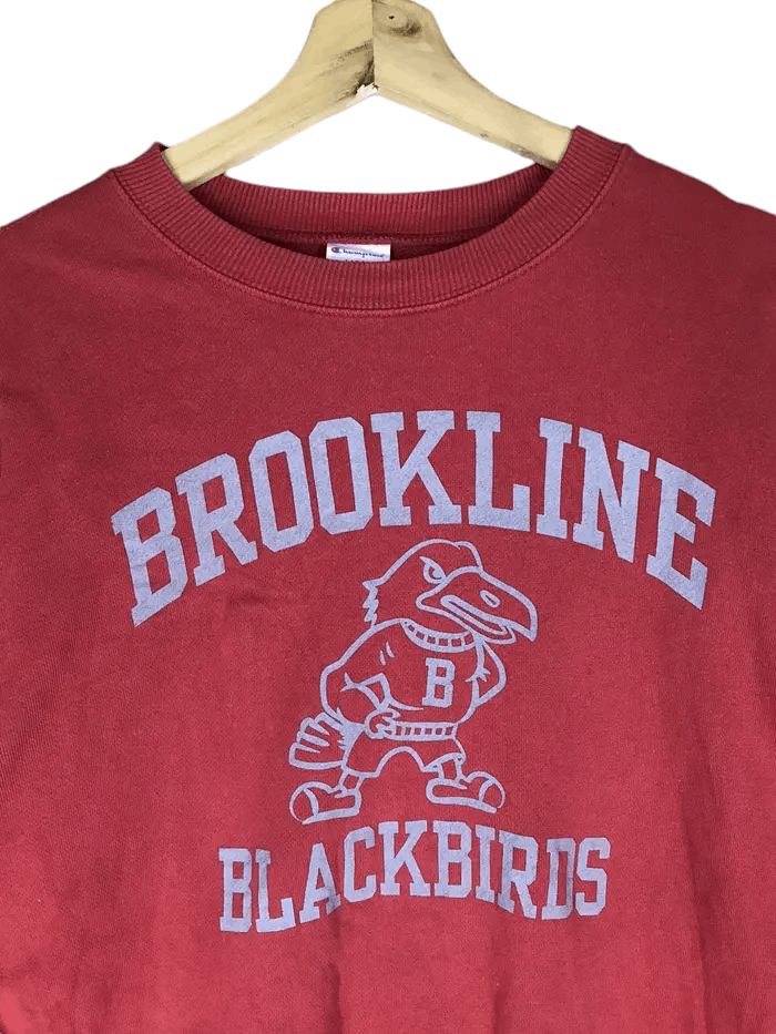 Champion Vintage Champion X Brookline Blackbirds Sweatshirts Size US L / EU 52-54 / 3 - 3 Thumbnail