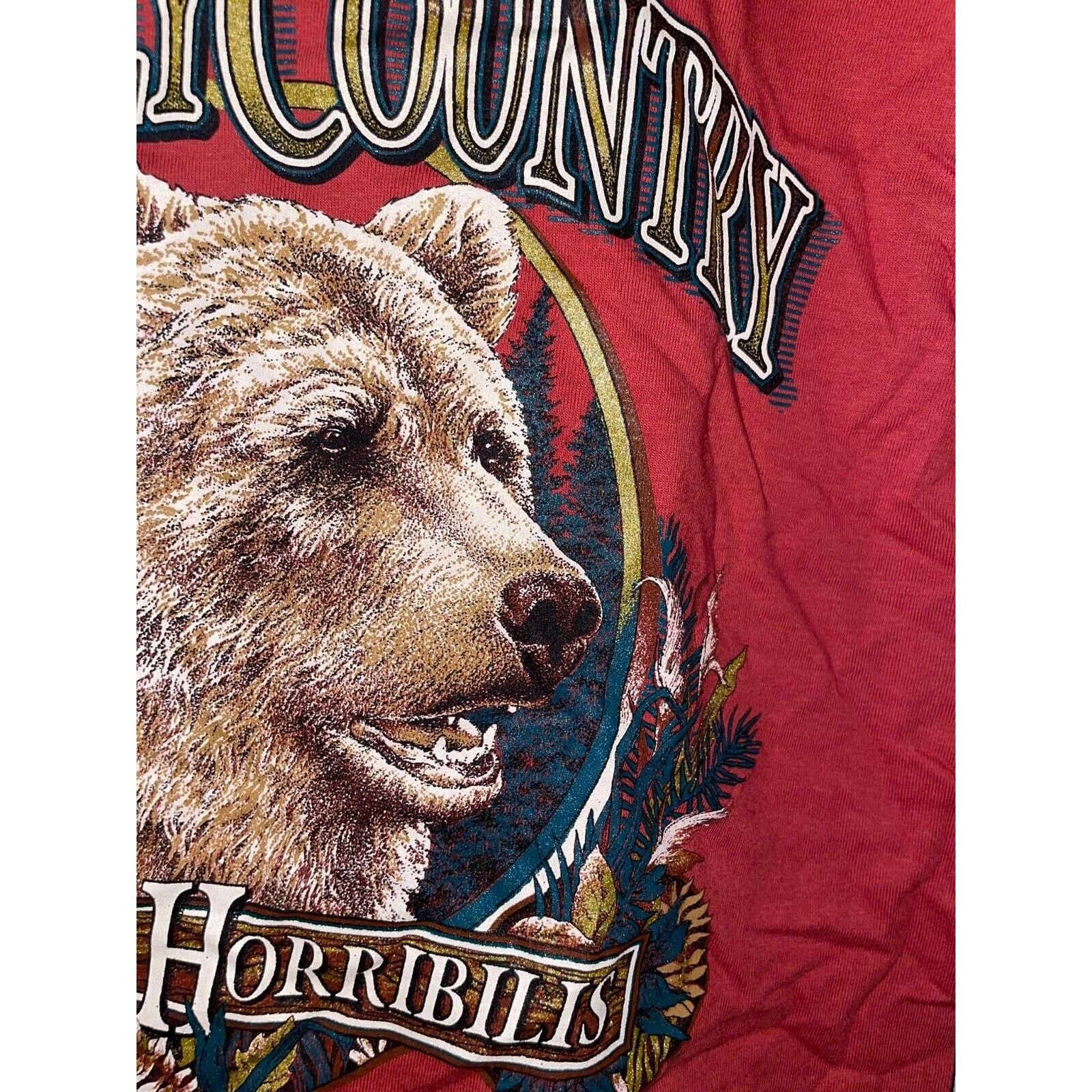 Jerzees 90s Vintage Grizzly Country Ursus Horribilis Montana Shirt Size US S / EU 44-46 / 1 - 3 Thumbnail