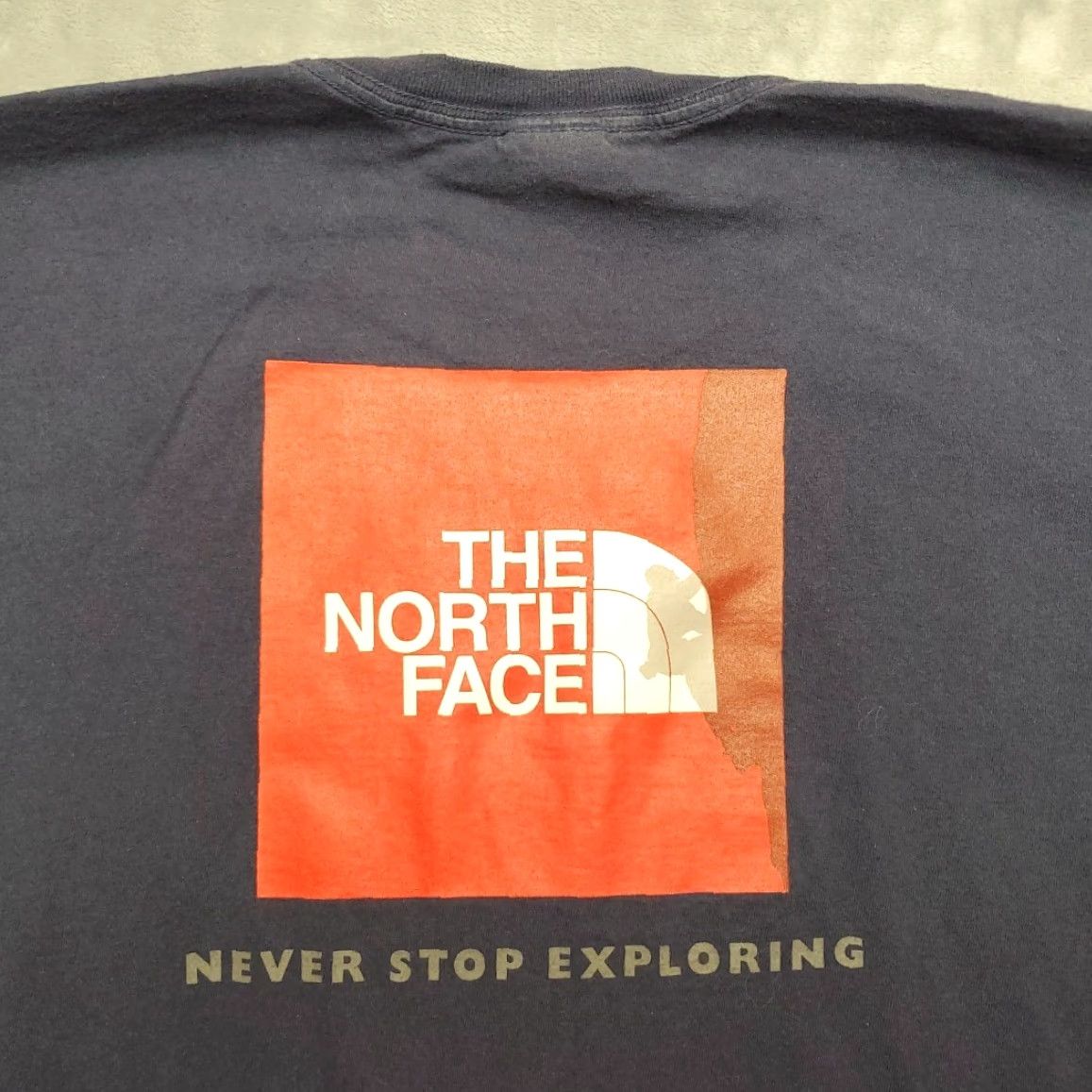 The North Face The North Face T Shirt Mens L Blue Crewneck Tee Short Sleeve Standard Fit Outdoor Logo Spell Out Size US L / EU 52-54 / 3 - 6 Thumbnail