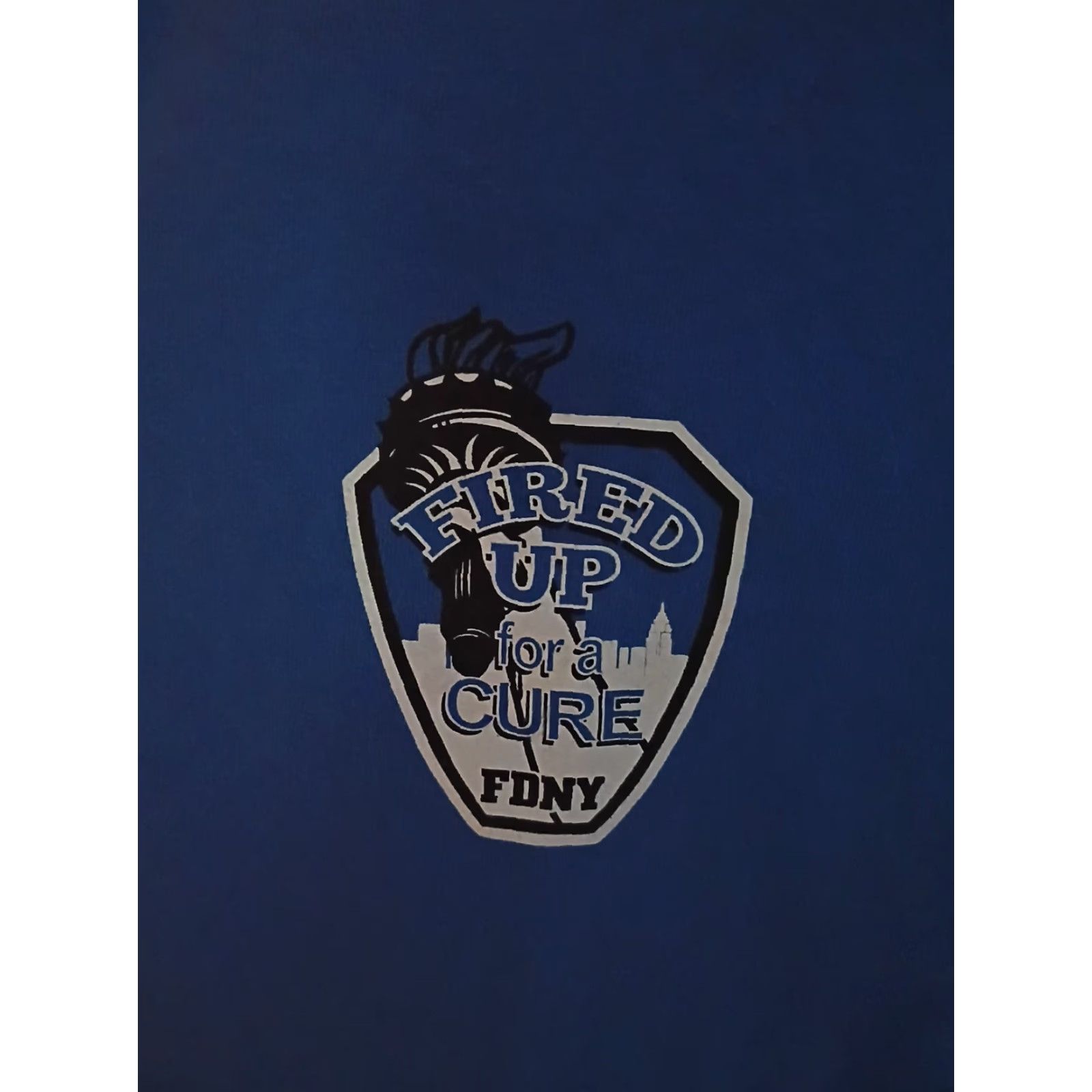 Vintage FDNY Fired Up For Cure 20 Year Anniversary Never Forget 9/11 Tee M Blue Mens T-Shirt Size US M / EU 48-50 / 2 - 2 Thumbnail