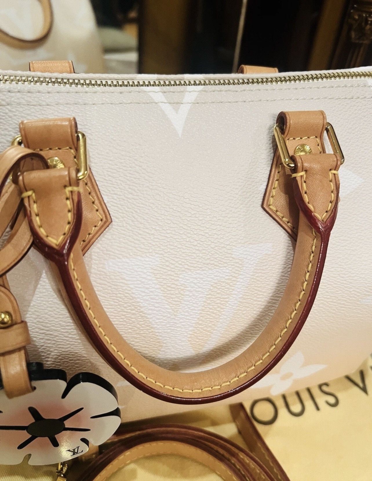 Louis Vuitton Louis Vuitton Speedy 25 Bandouliere Summer Giant Size ONE SIZE - 3 Thumbnail