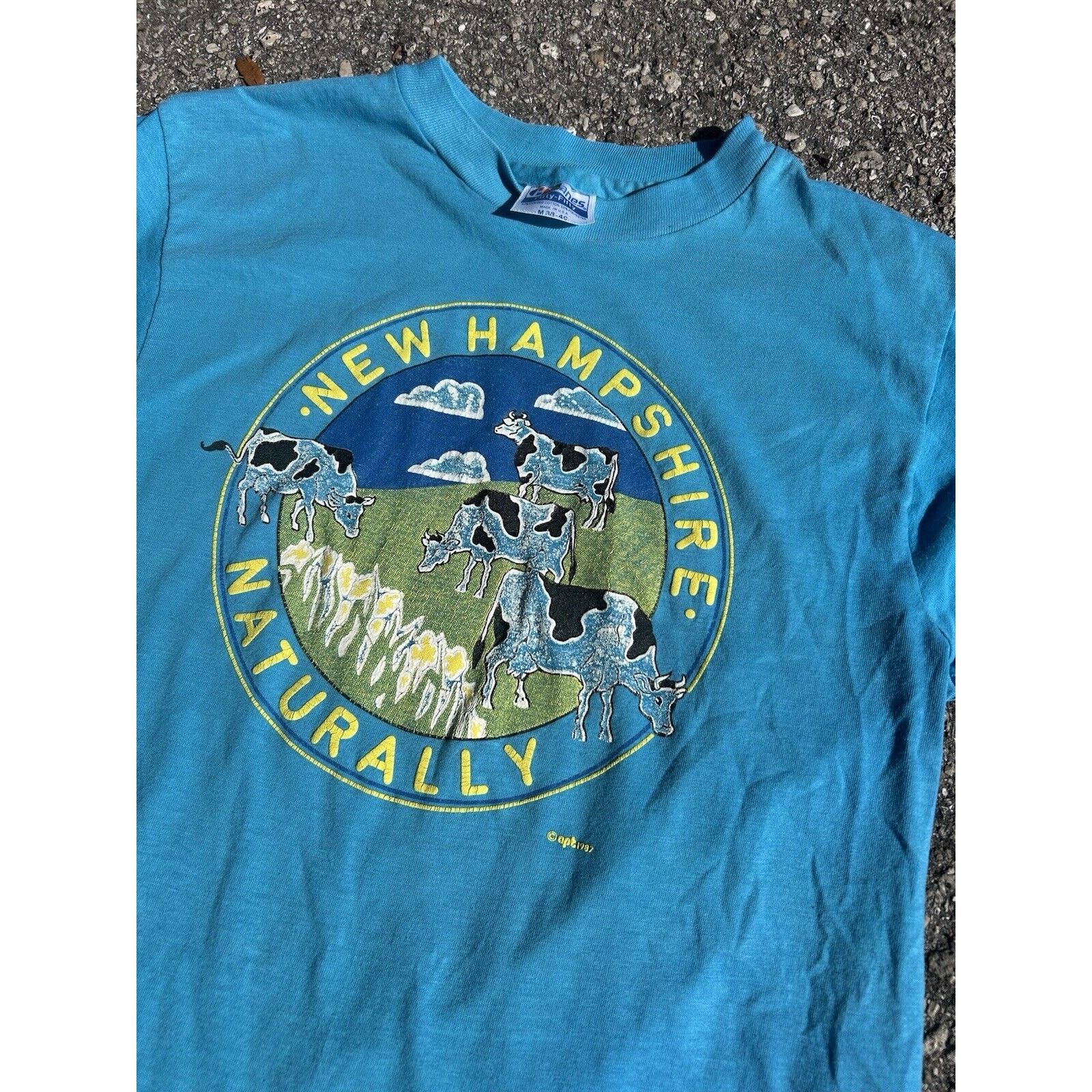Other 87’ New Hampshire Naturally t-shirt tagged M 17 x 26 Size US M / EU 48-50 / 2 - 2 Thumbnail