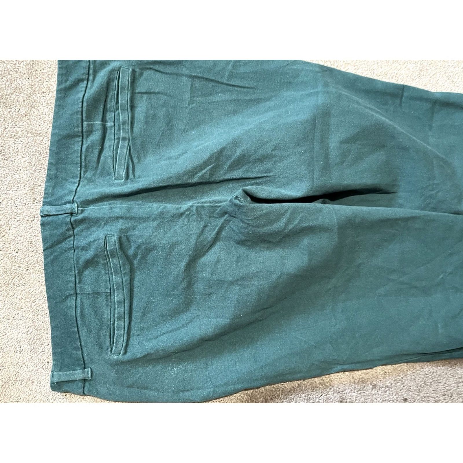Old Navy Old Navy Pixie Pants Women Size 12 Green Cropped Capri Slim High Rise Capris, 21 Inseam, Cotton Blend, Button Fly, Pockets, Regular, Women Size 34" / US 12 / IT 48 - 4 Thumbnail