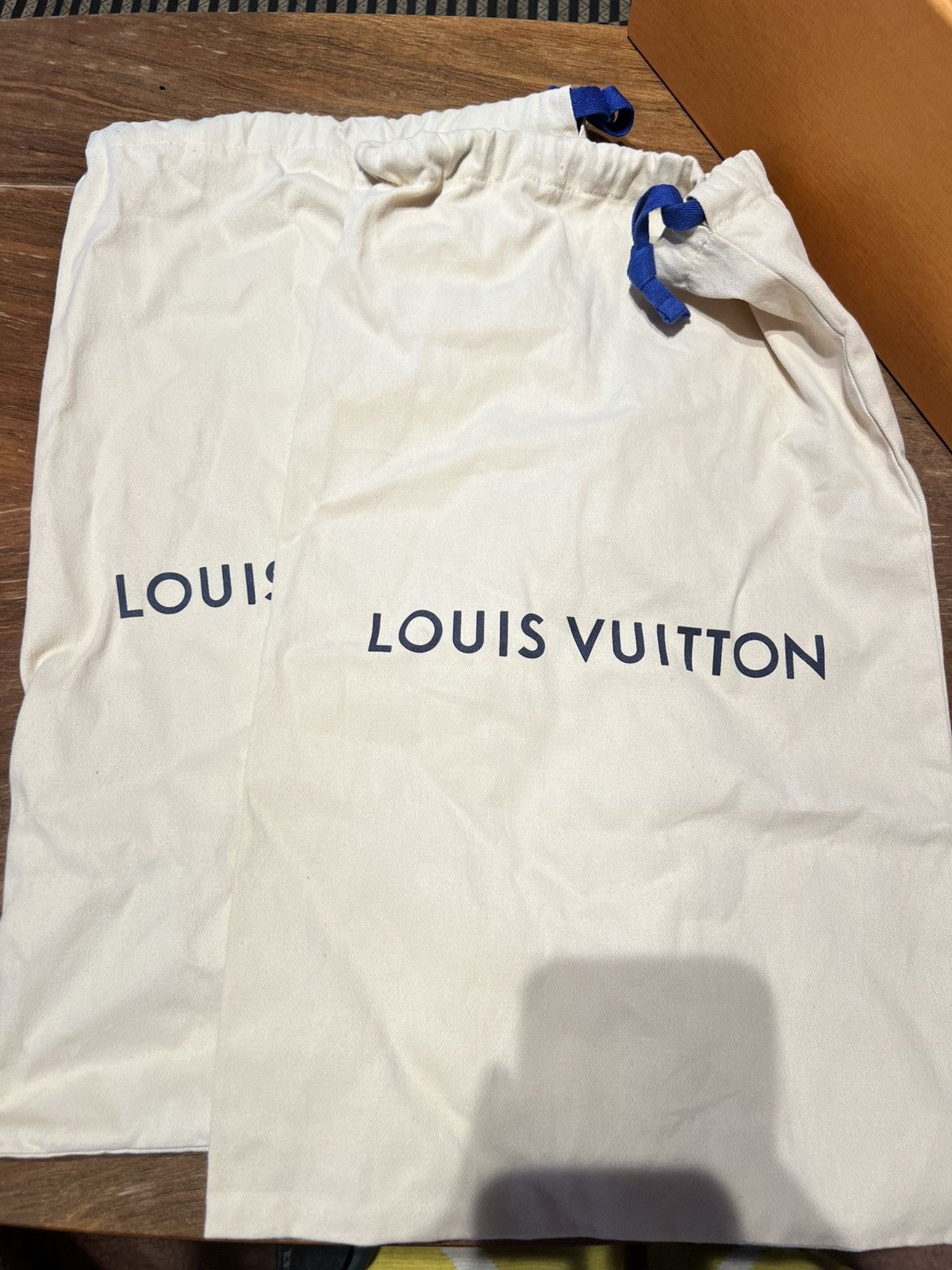 Louis Vuitton Louis Vuitton Skate Sneaker Size US 9 / EU 42 - 13 Thumbnail