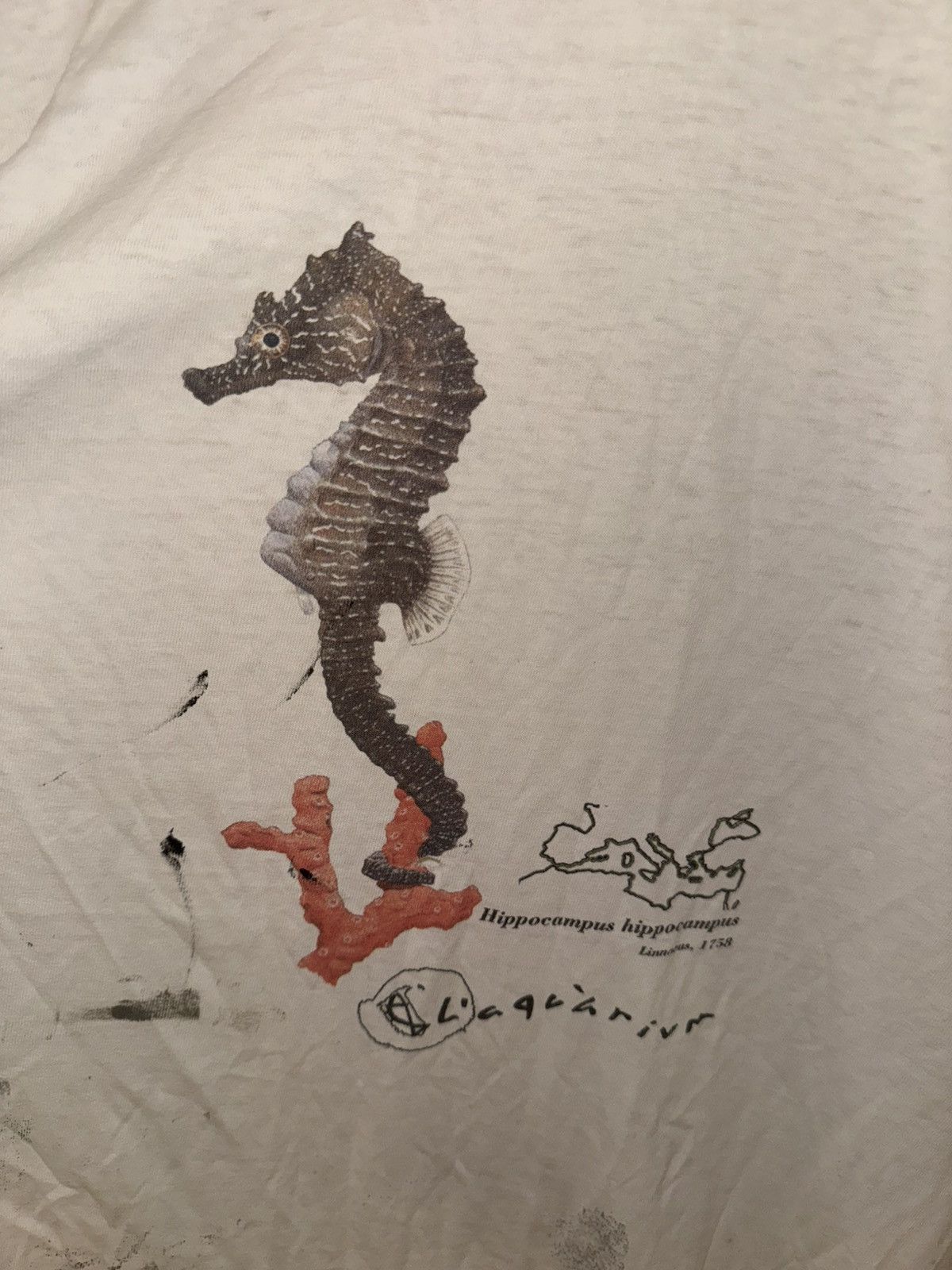 Vintage L’aquárium vintage t shirt Size US XL / EU 56 / 4 - 3 Thumbnail