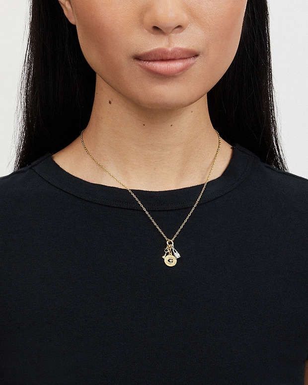 Coach NWT Coach Coin Multi Charm Pendant Necklace Size ONE SIZE - 6 Thumbnail