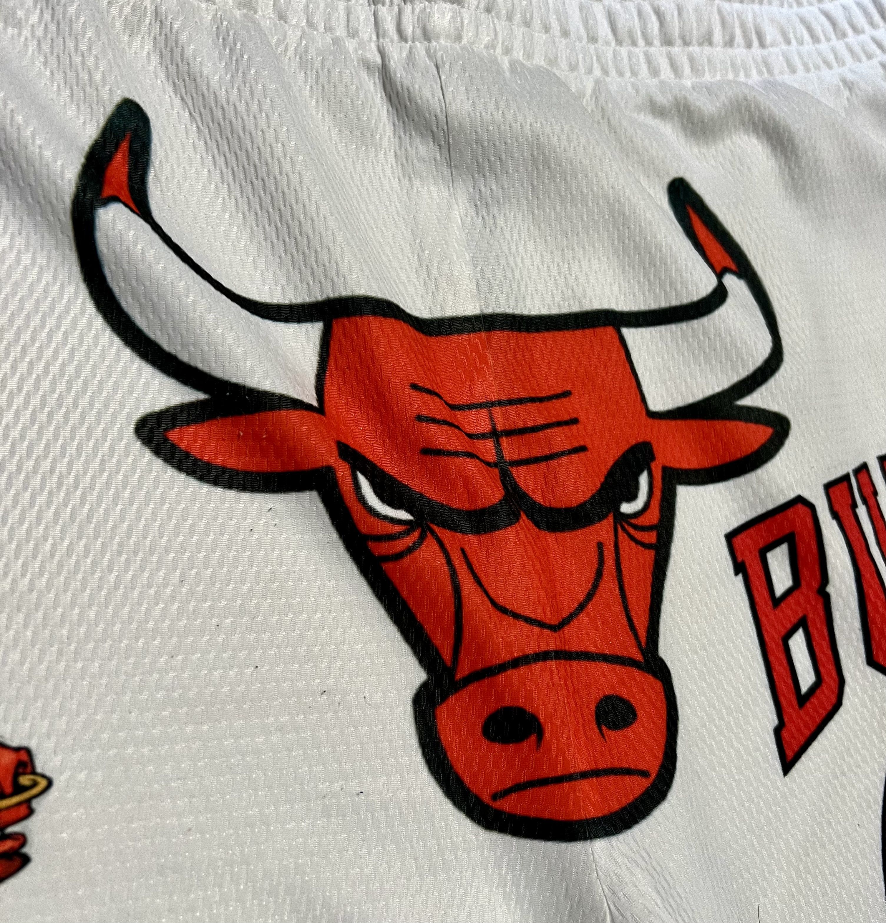 Athletic Works Chicago Bulls Benny The Bull Athletic Works Athletic Shorts Size US 42 / EU 58 - 6 Thumbnail