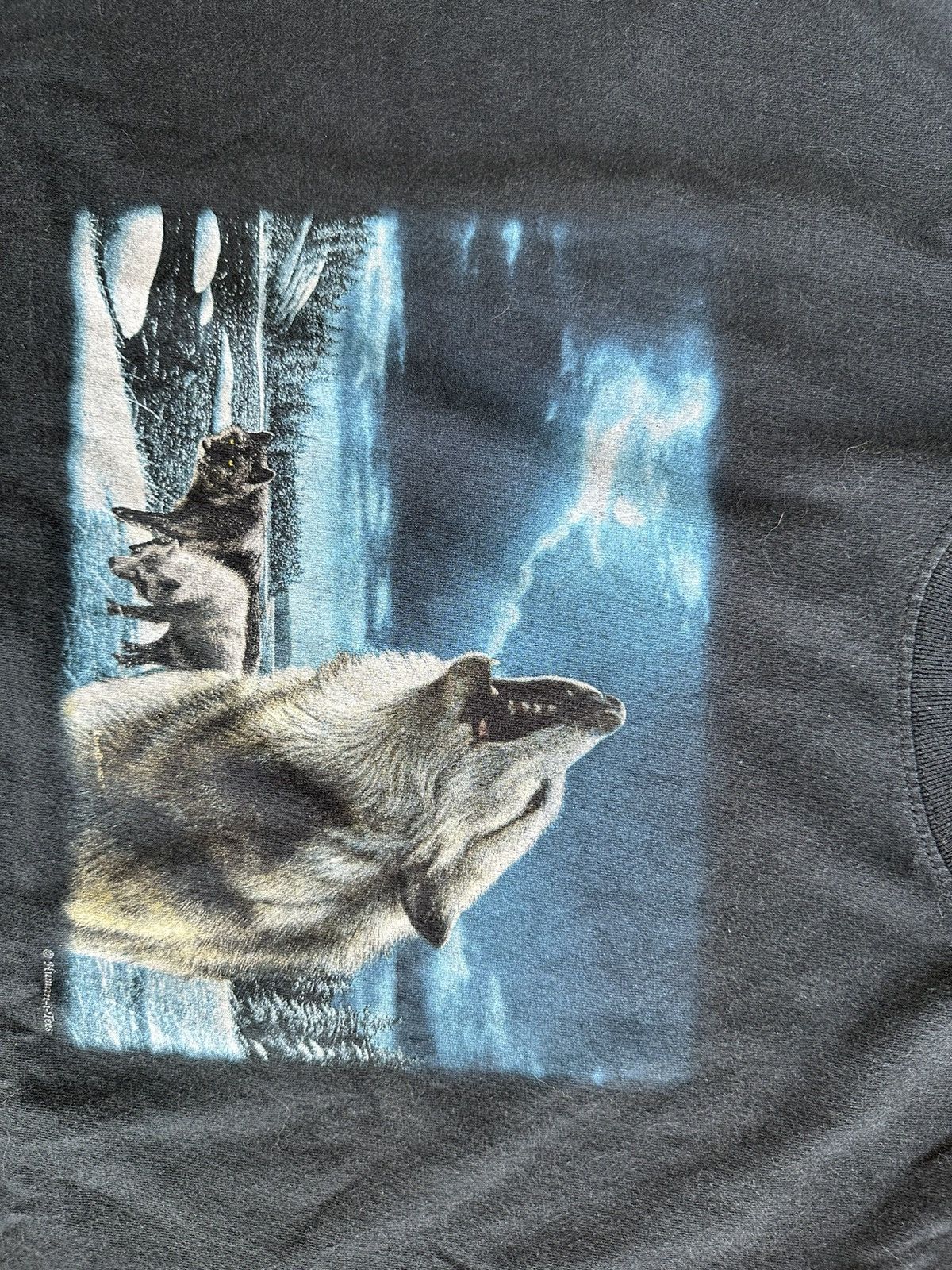 Vintage Vintage Wolf T Shirt Size US L / EU 52-54 / 3 - 2 Thumbnail
