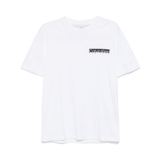Calvin Klein CALVIN KLEIN Men T-Shirts K10K113800 WHITE Size US S / EU 44-46 / 1 - 1 Thumbnail