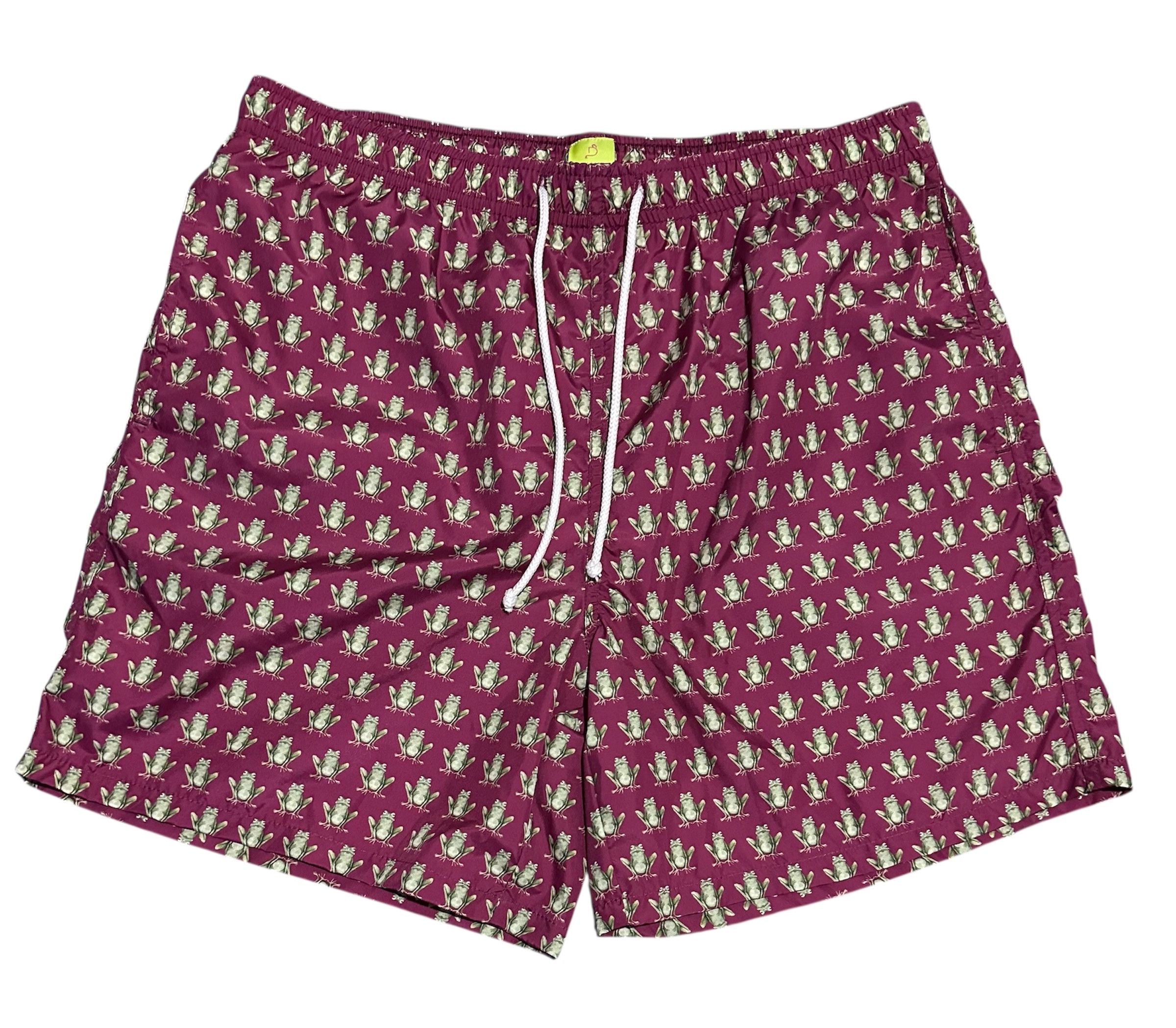 Other Dalwin Frog Swim Shorts Size US 32 / EU 48 - 1 Thumbnail