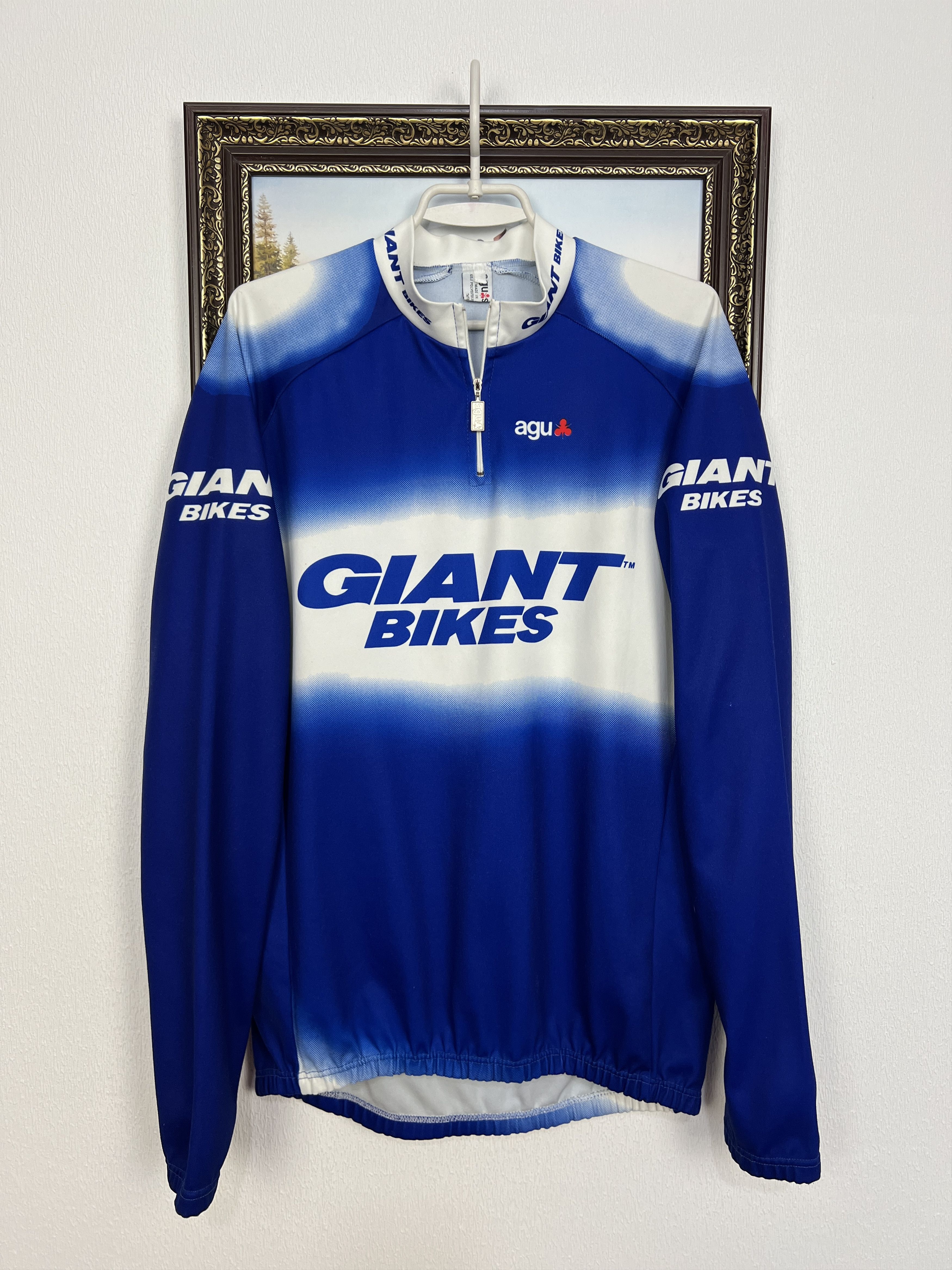 Vintage Vintage Giant Bikes Cycling Long Sleeve Jersey Trikot Shirt Size US L / EU 52-54 / 3 - 1 Thumbnail