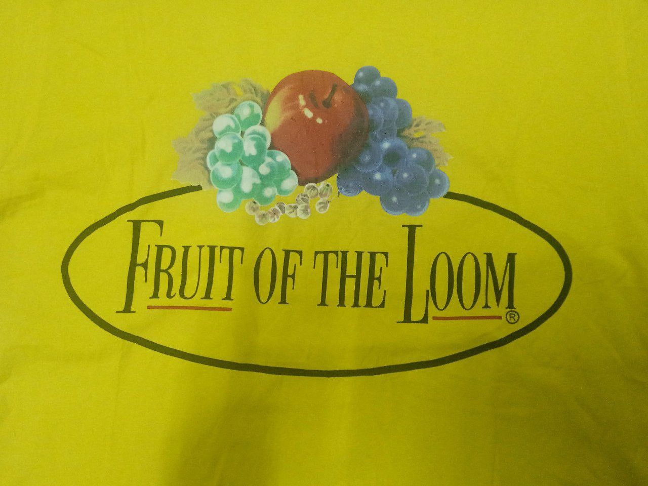 Fruit Of The Loom × Vintage vintage 2000 s t shirt Size US L / EU 52-54 / 3 - 6 Thumbnail