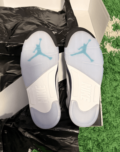 Jordan Brand Air Jordan Grape 5's 2025 Size US 11.5 / EU 44-45 - 4 Thumbnail