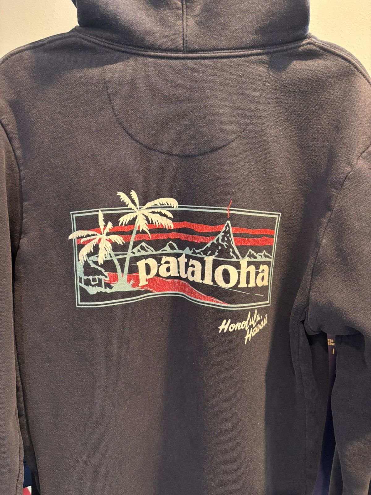 Patagonia Patagonia “Pataloha” Honolulu Hawaii 🏝️ Exclusive Hoodie Size US S / EU 44-46 / 1 - 6 Thumbnail