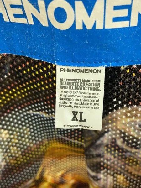 PHENOMENON Phenomenon Fire stripe Jacket Size US XL / EU 56 / 4 - 5 Thumbnail
