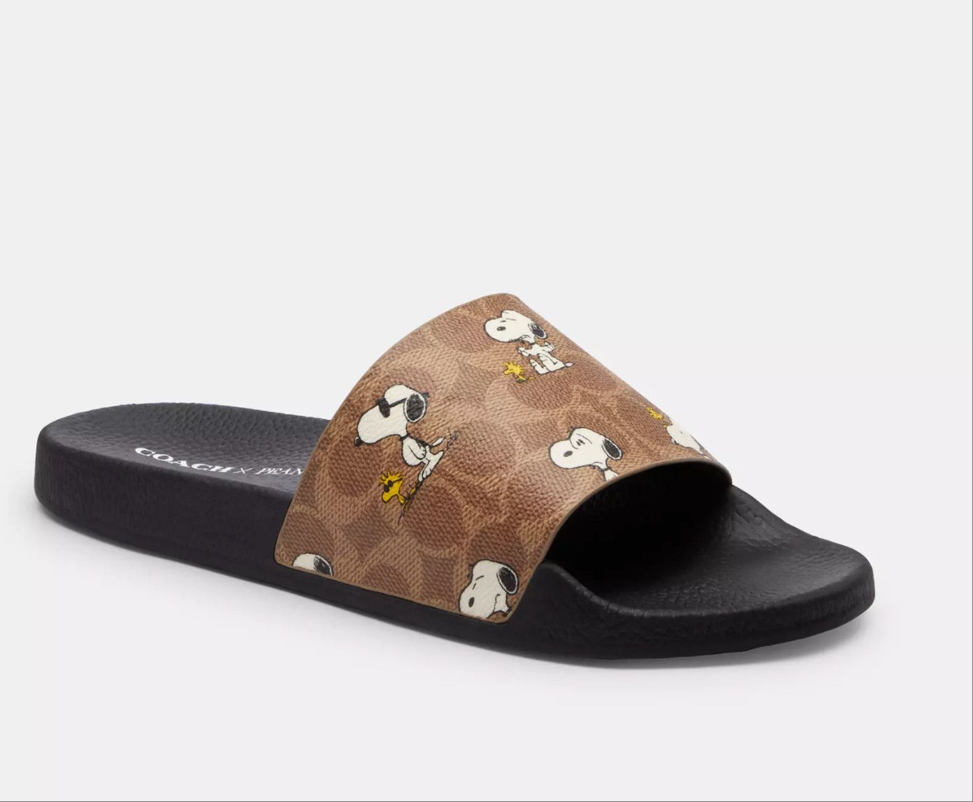 Coach women’s Peanuts Udele Sport Slide With Snoopy Print CBM96 Size US 10 / IT 40 - 10 Thumbnail