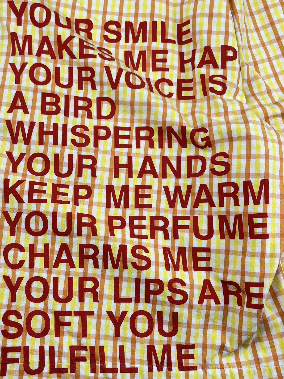 Junya Watanabe SS02 Sample Junya Watanabe Plaid Poem Print Shorts Size US 32 / EU 48 - 3 Thumbnail