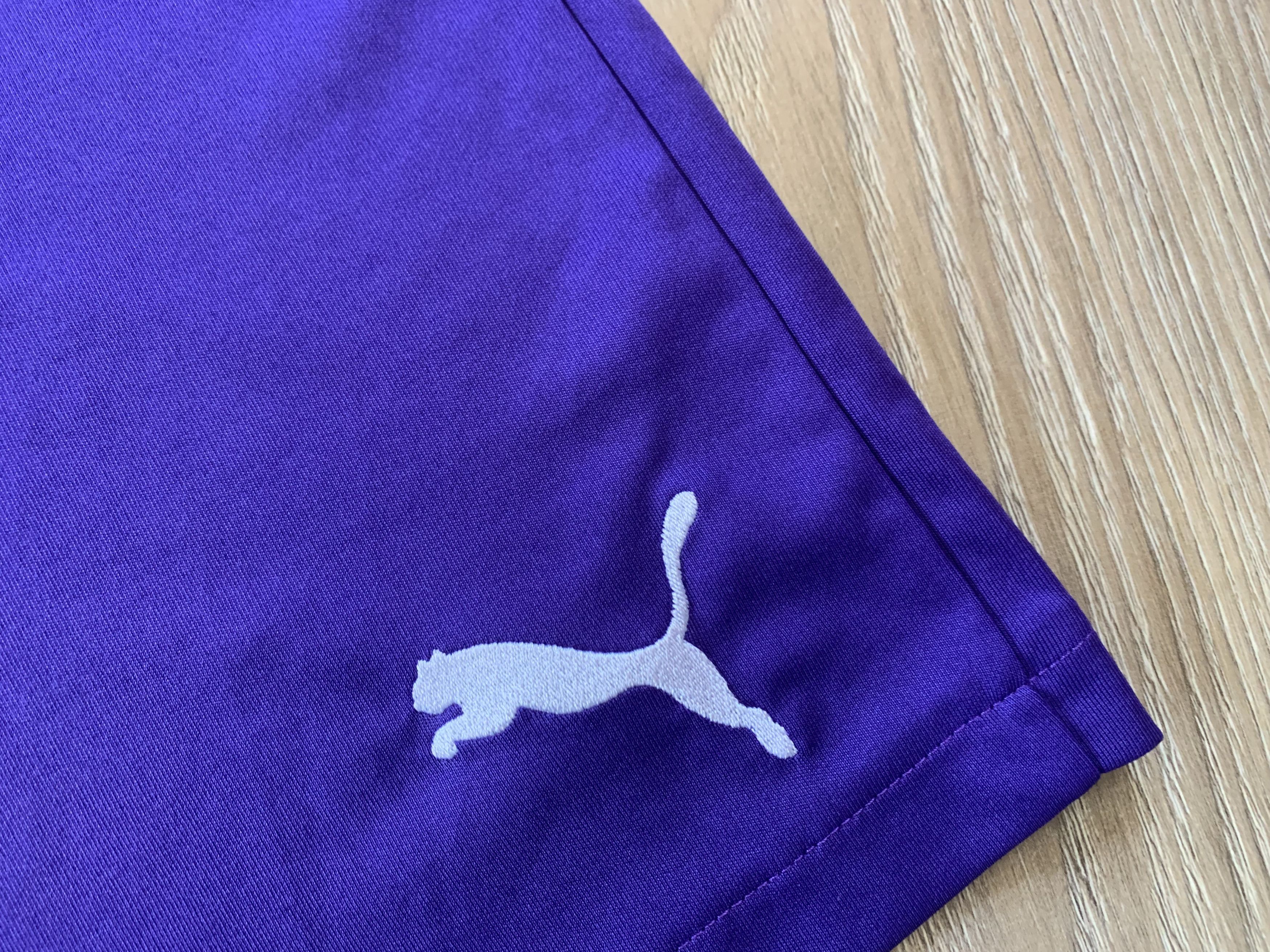Puma Puma Mens Training Shorts Size US 32 / EU 48 - 5 Thumbnail